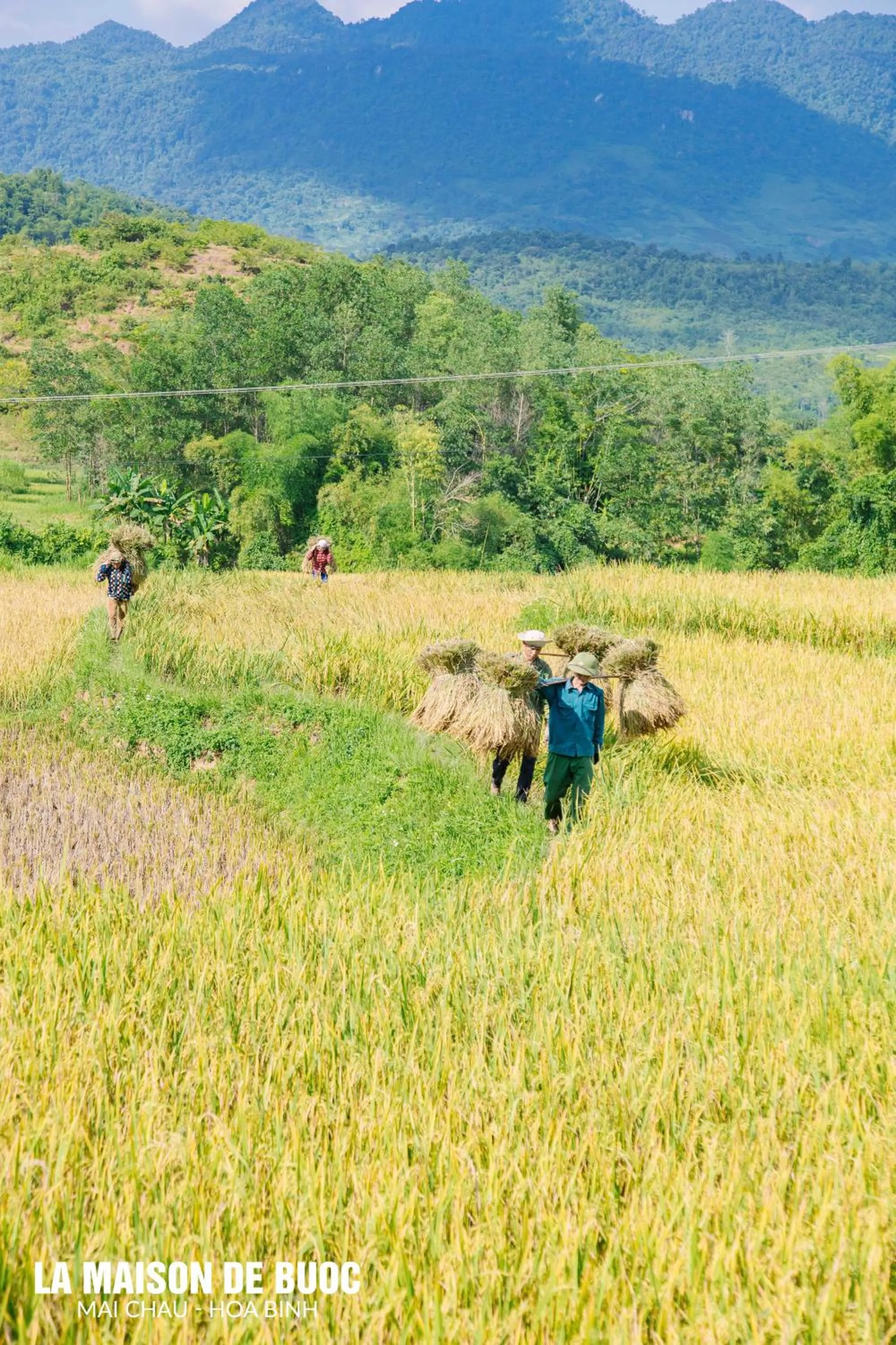 Spring in La Maison De Buoc