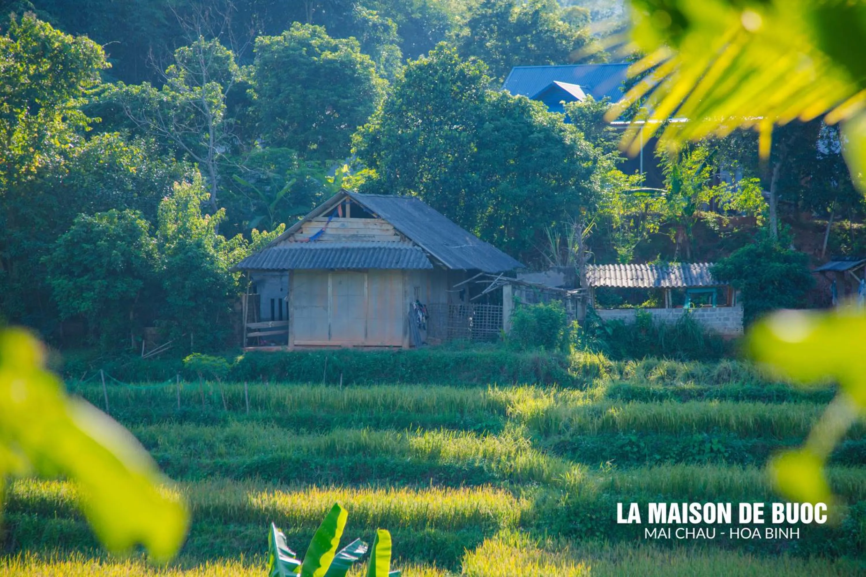 Property building in La Maison De Buoc