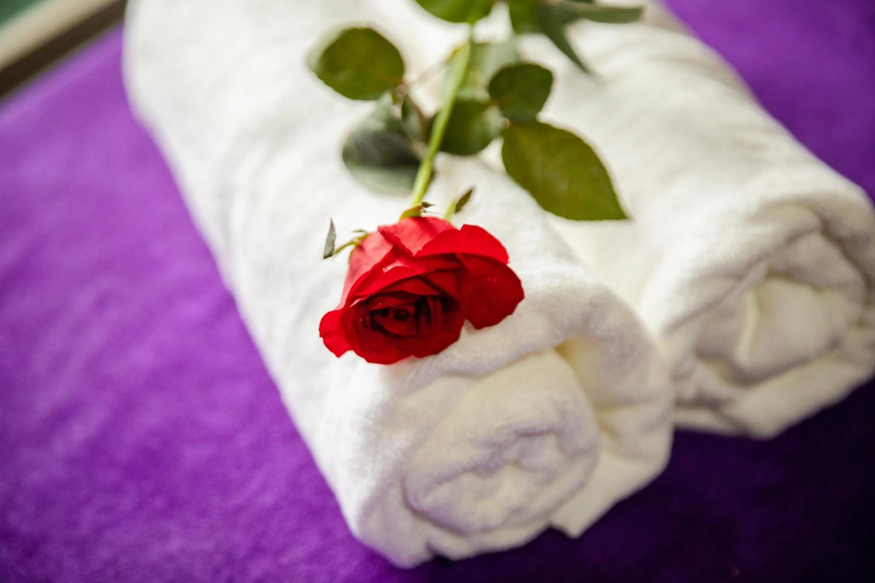 Spa and wellness centre/facilities in Diamond Hotel