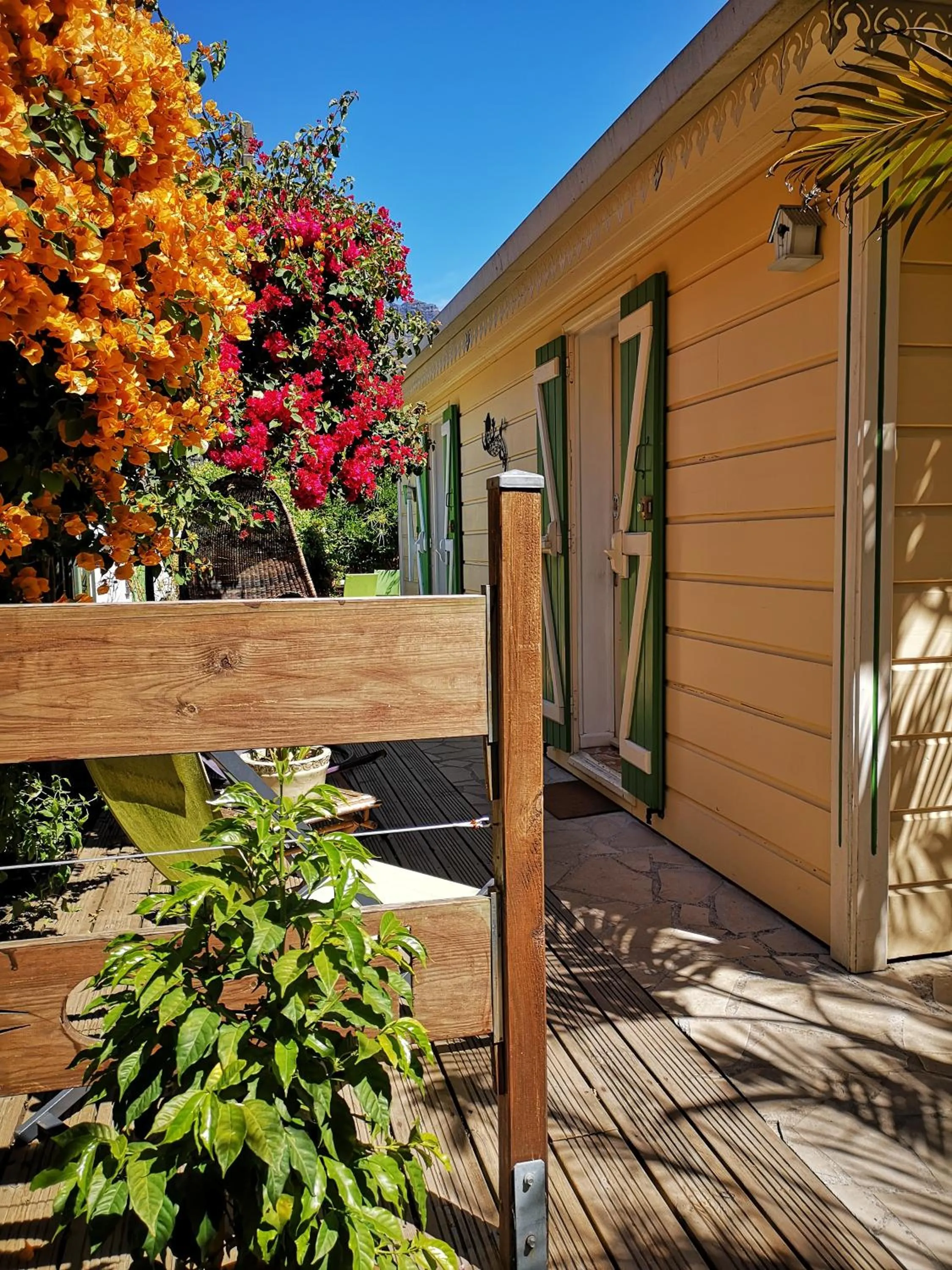 Garden view in Case Nyala