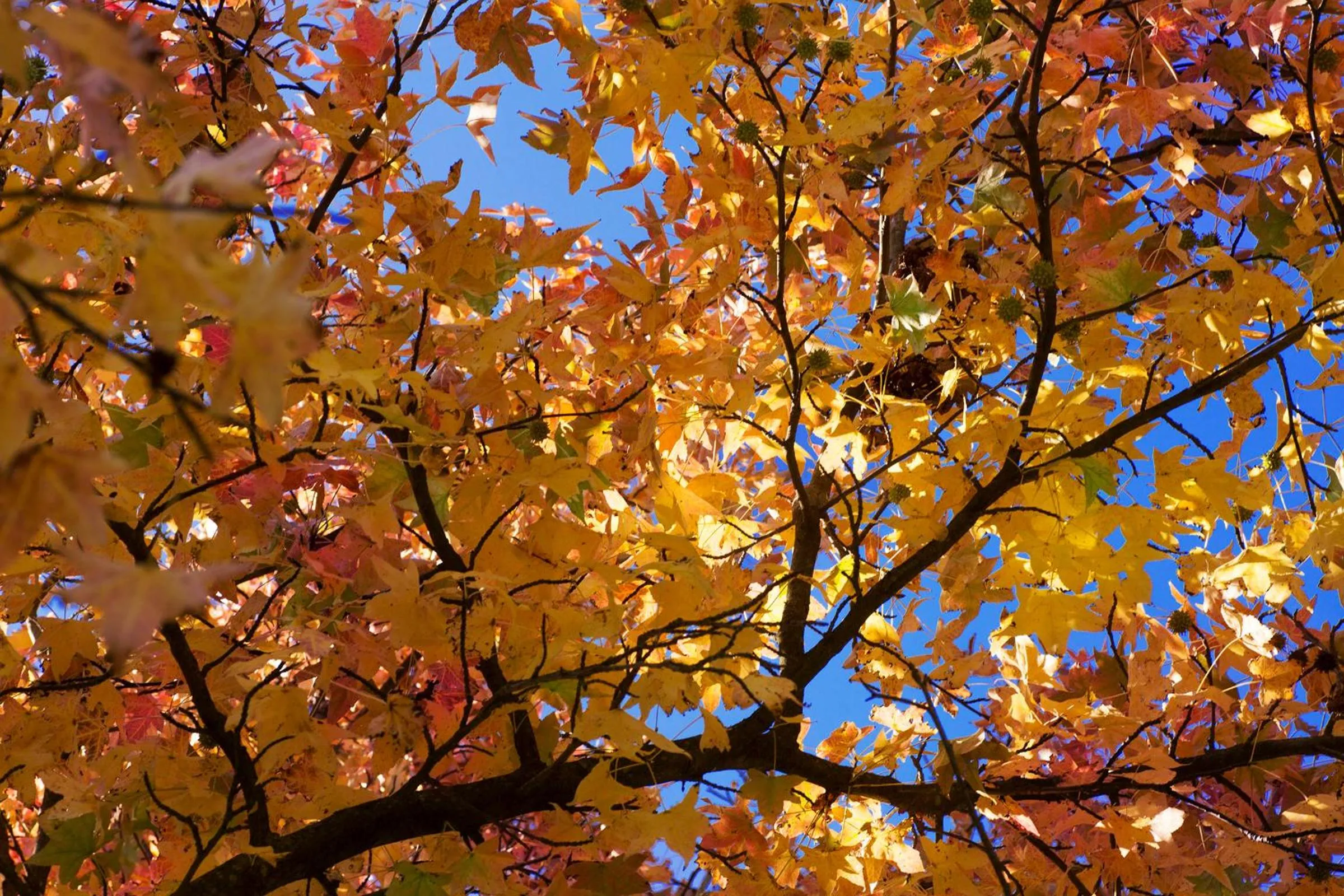 Property building in Ca' Ciaran