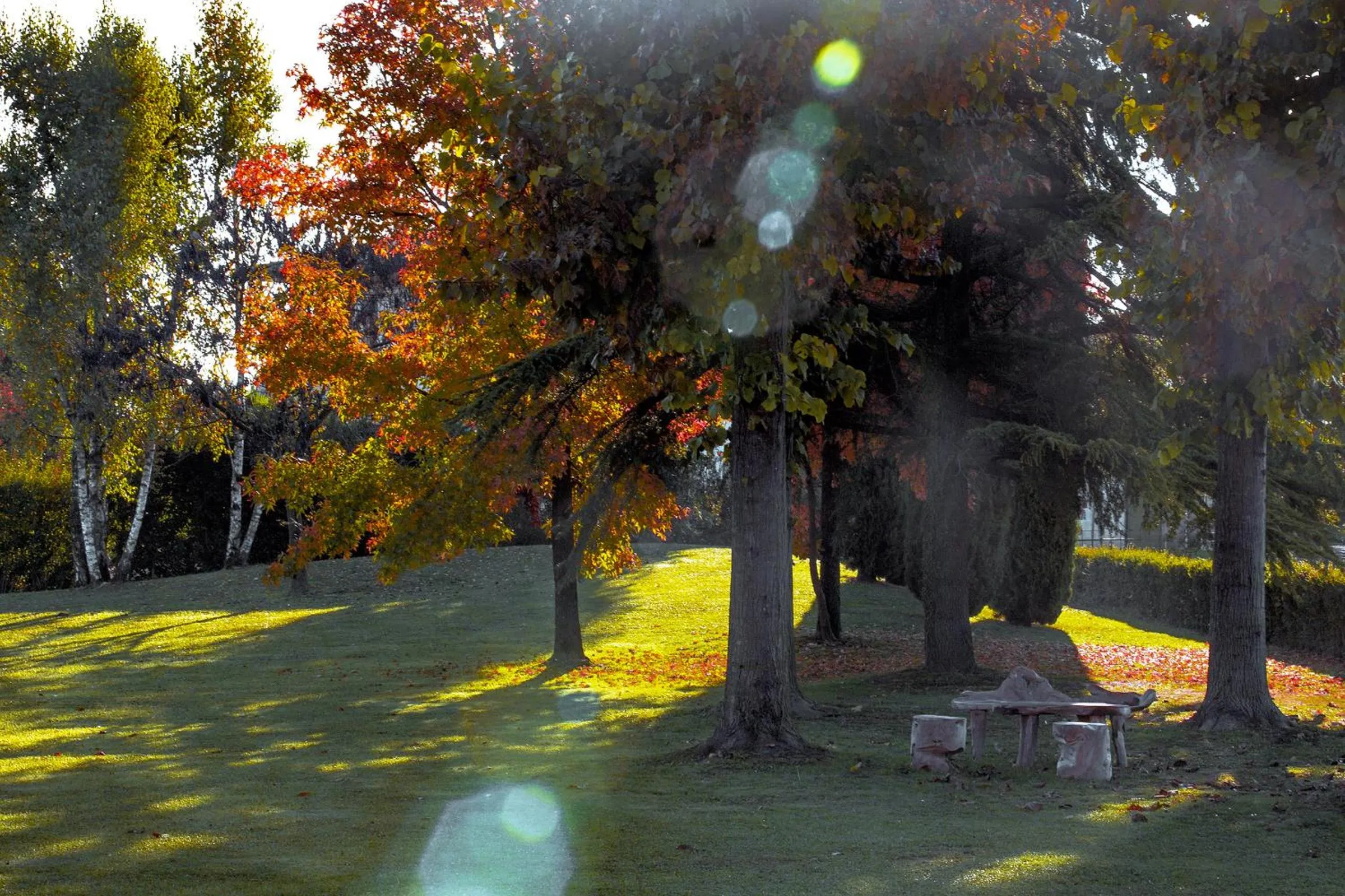 Property building in Ca' Ciaran