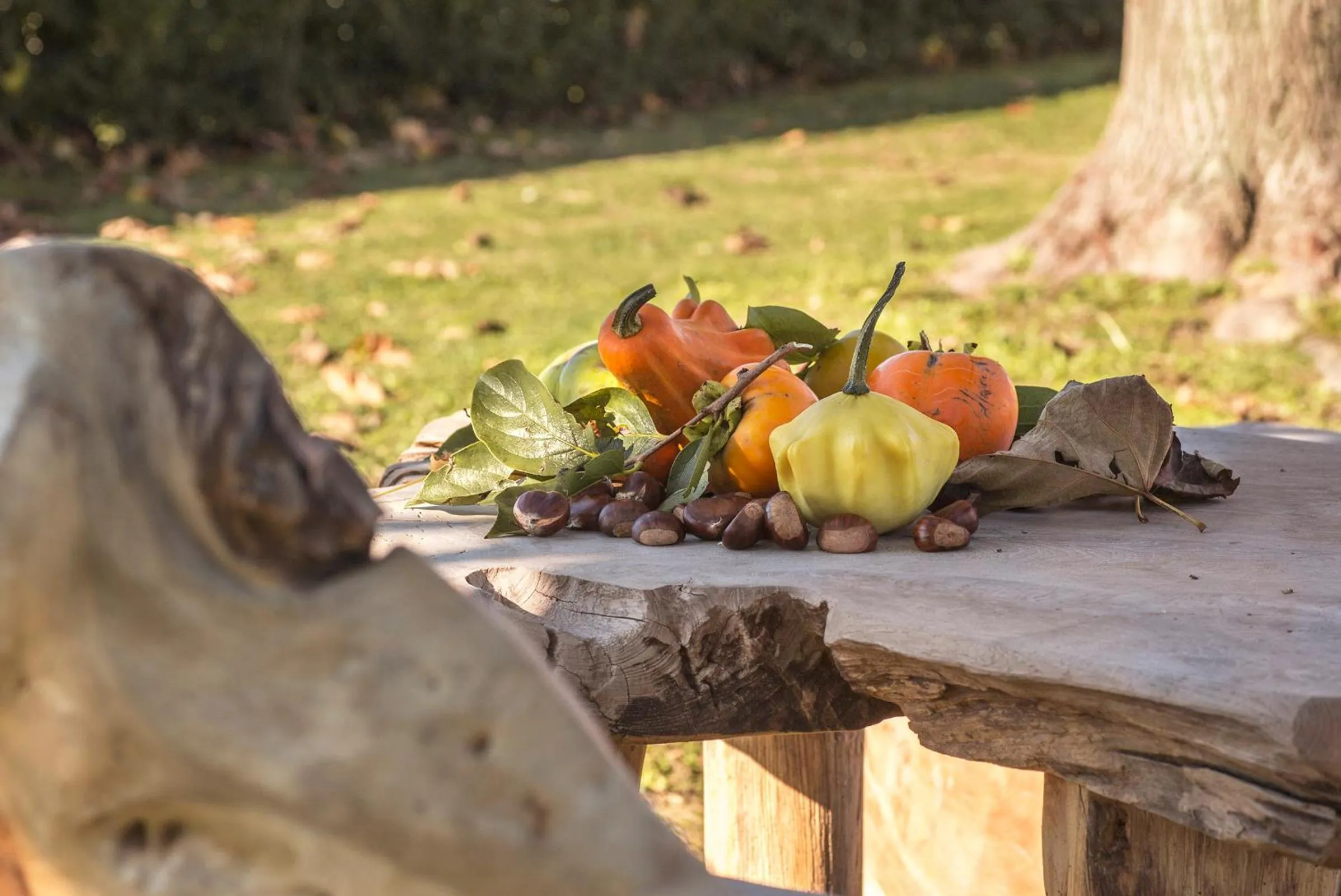 Property building in Ca' Ciaran