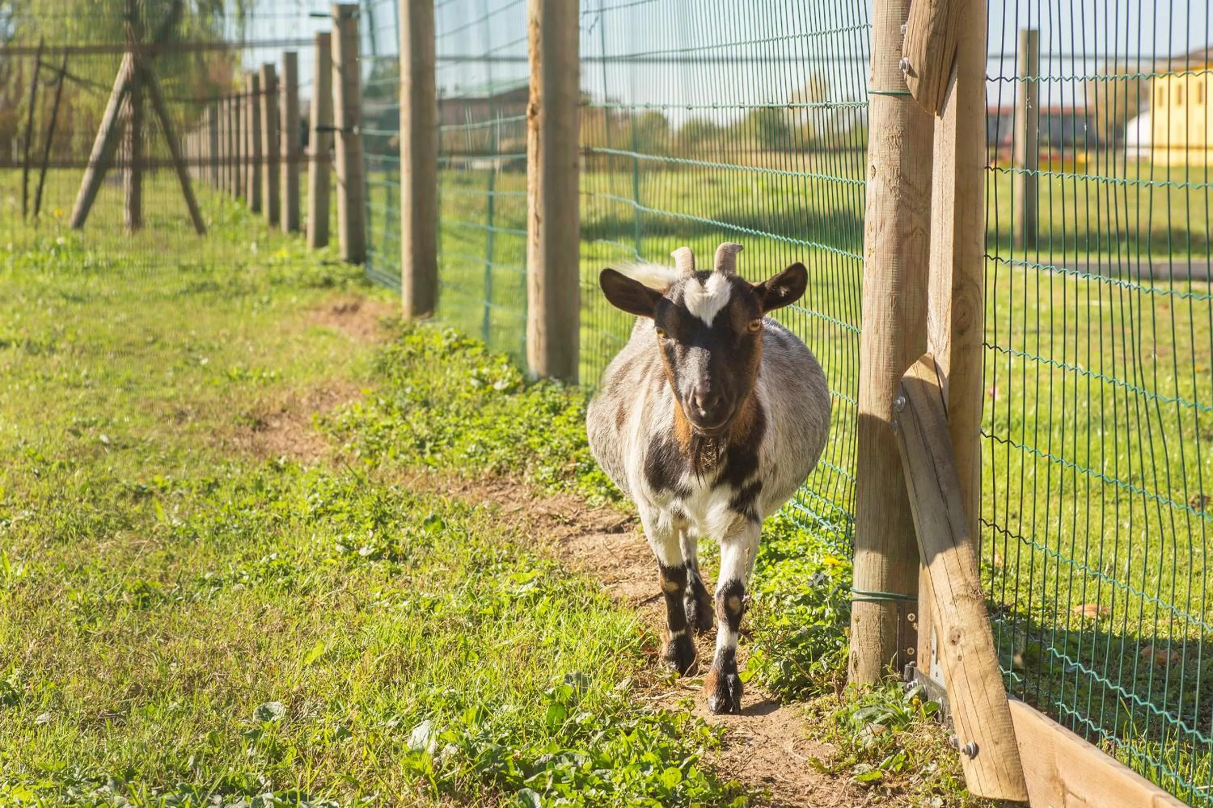 Property building in Ca' Ciaran