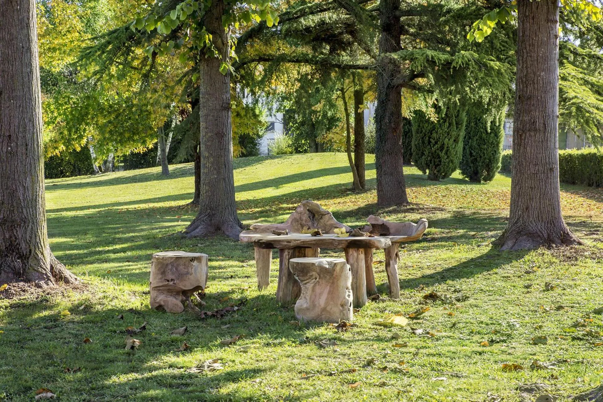 Garden in Ca' Ciaran