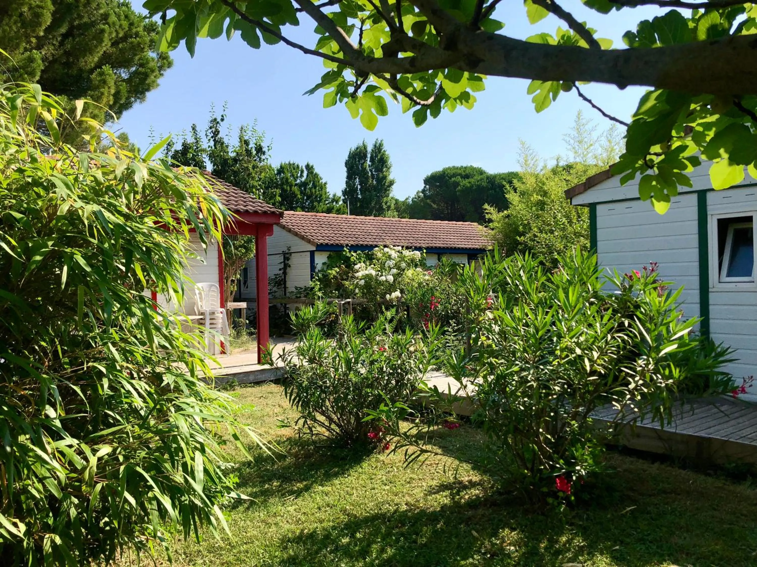 Summer in Bungalows & Rooms - Gît'Ôstal