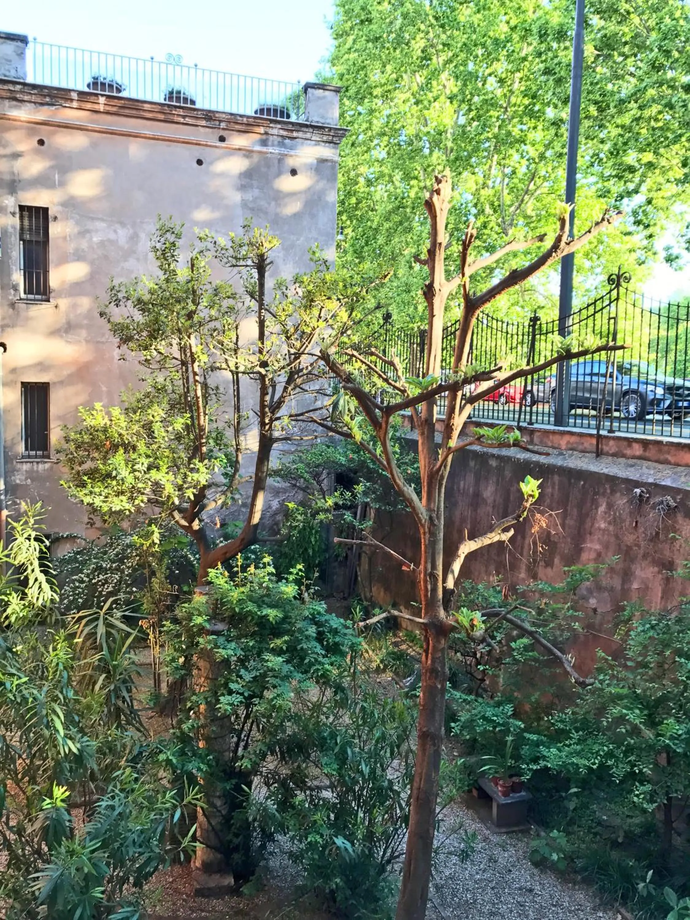 Garden view in Secret Rhome