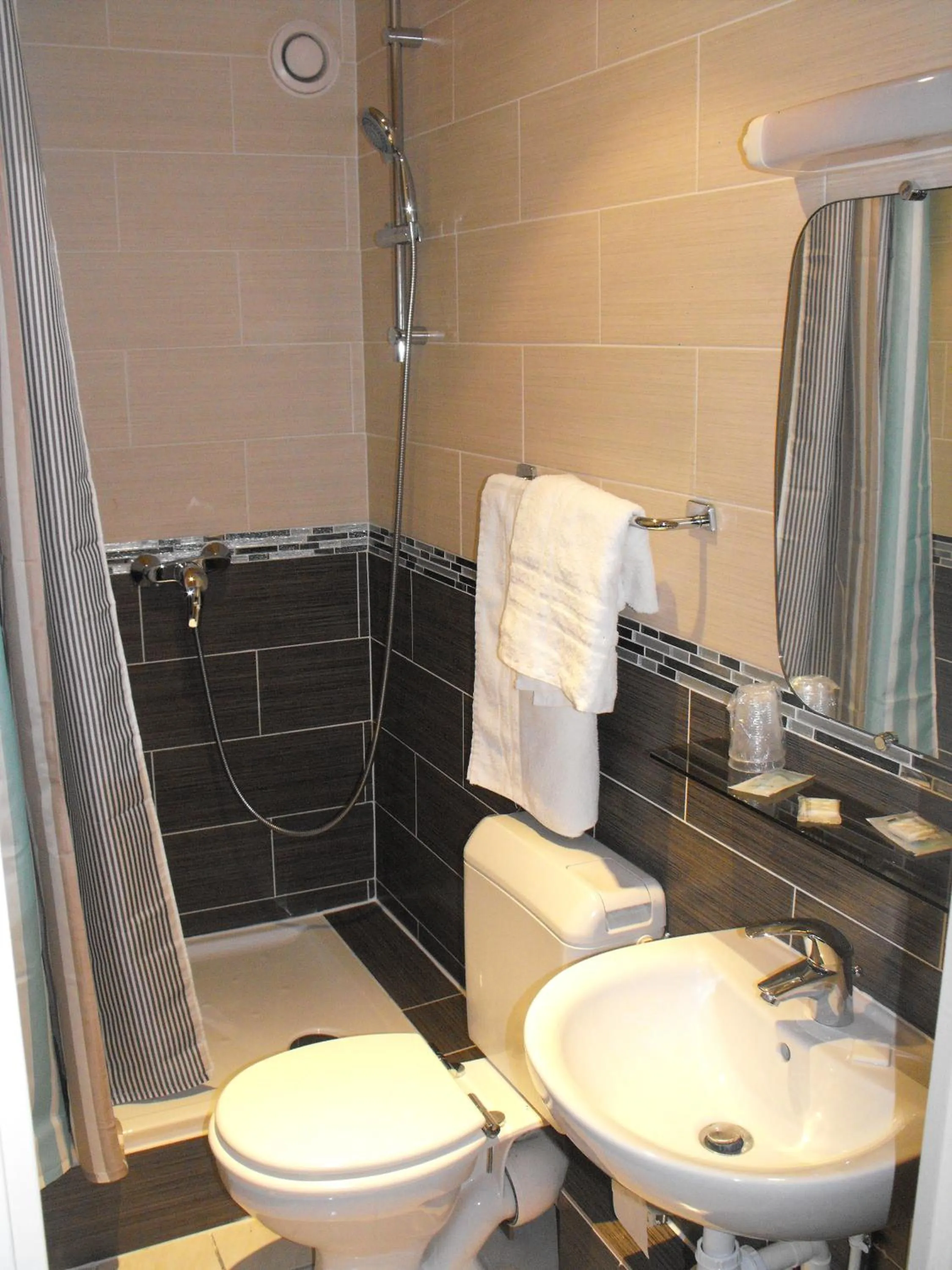 Shower in Hôtel De La Perdrix Rouge