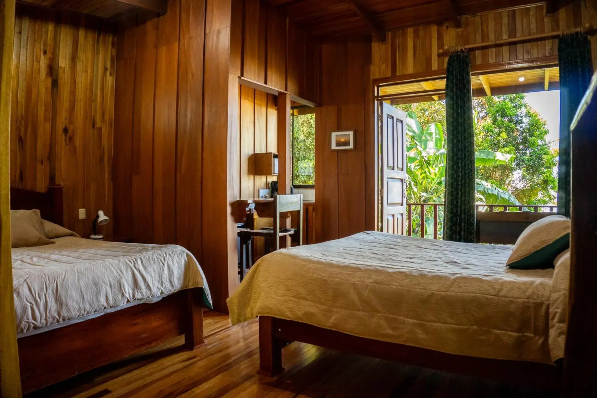 Coati in Hotel Flor de Bromelia Coati in Hotel Flor de Bromelia