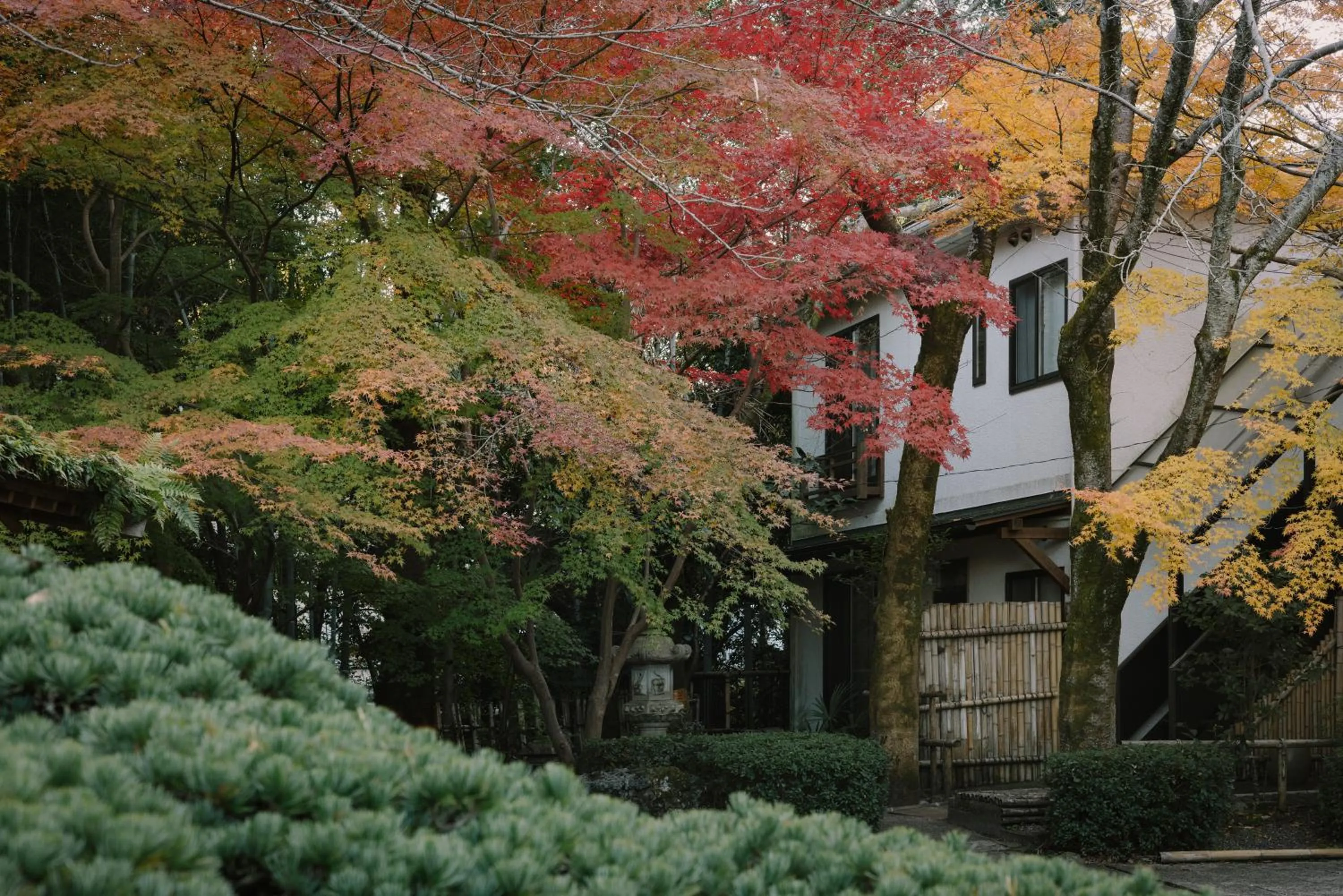 Garden in Oukai Villa Izumi