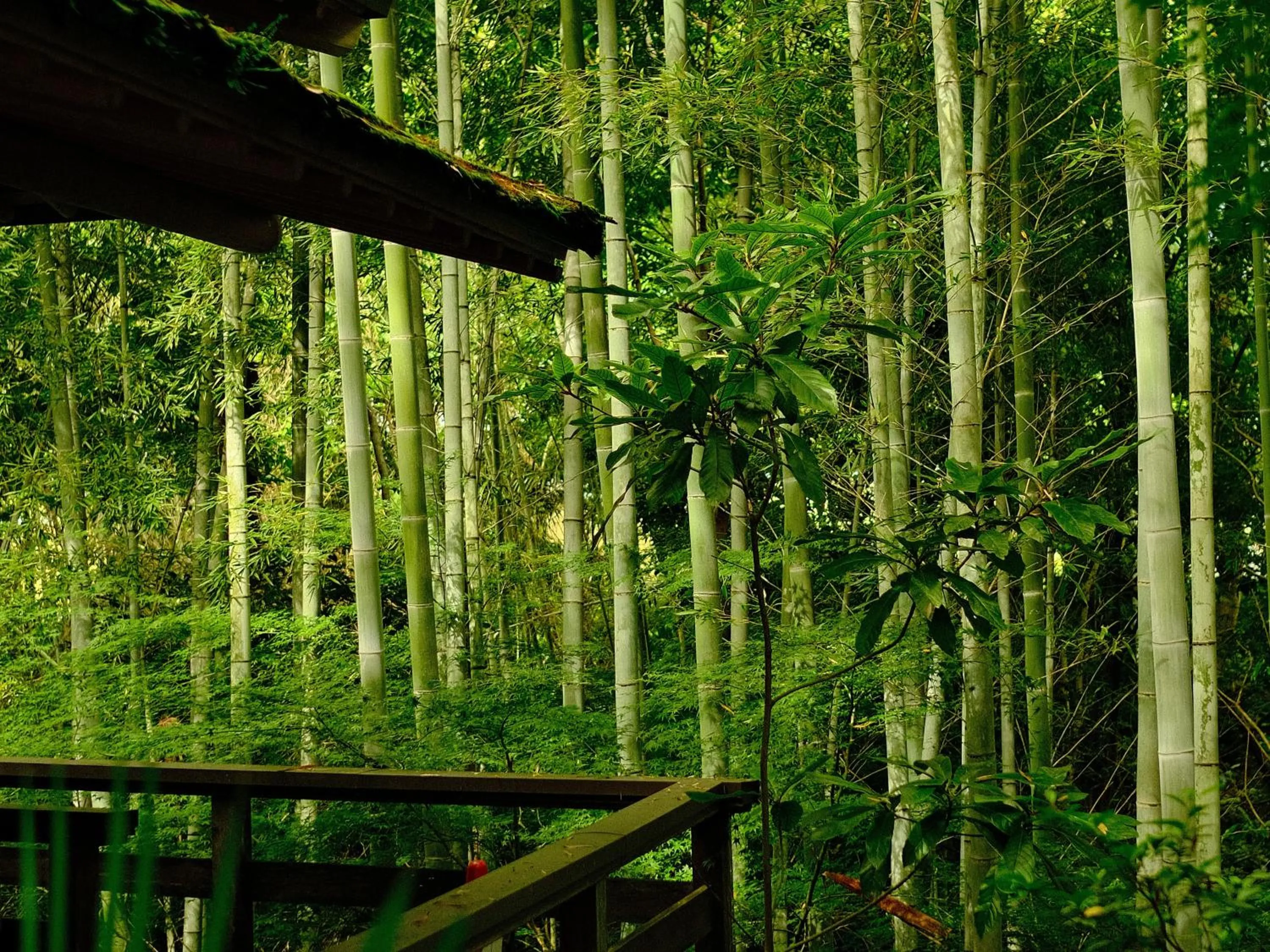 Natural landscape in Oukai Villa Izumi