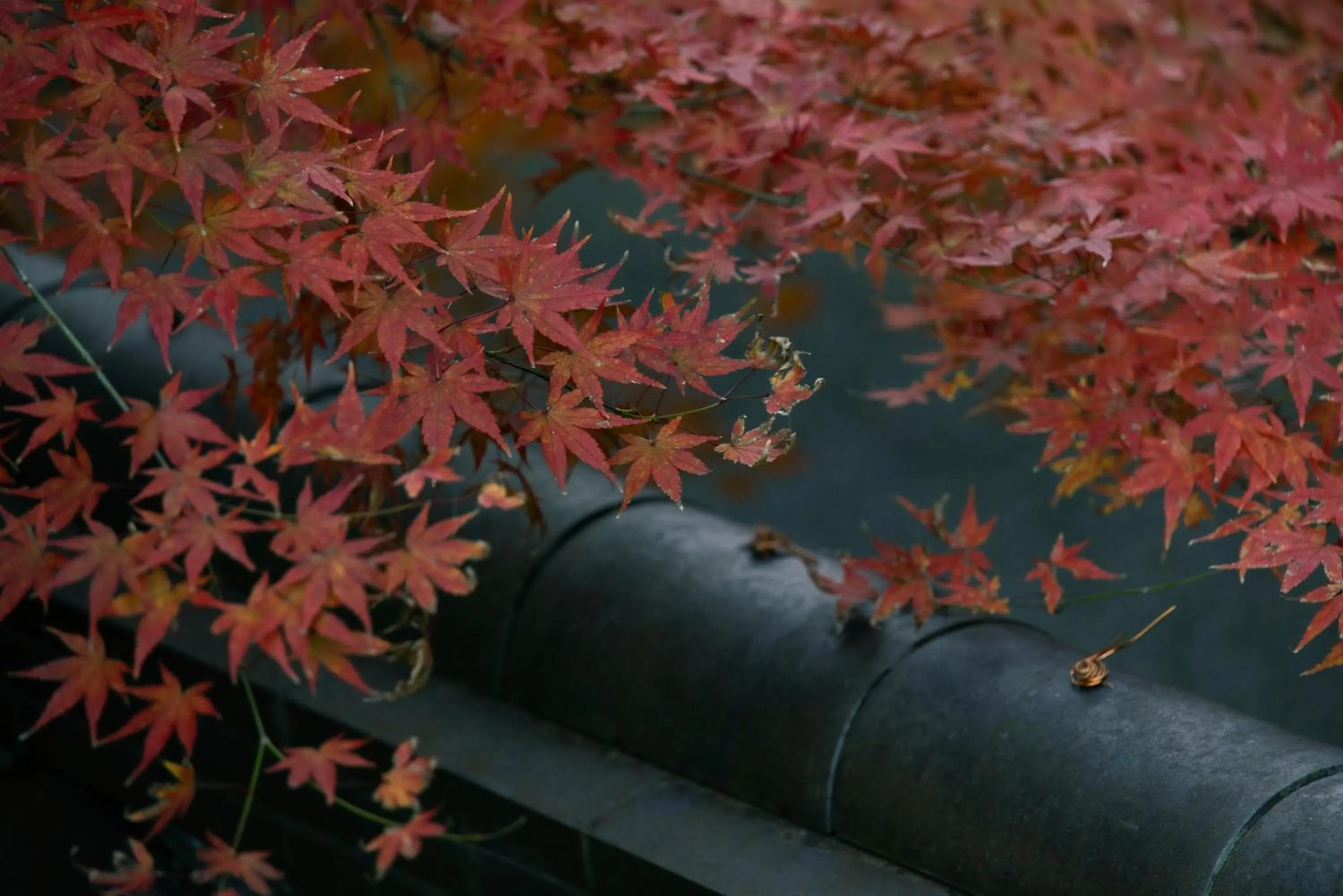 Garden view in Oukai Villa Izumi