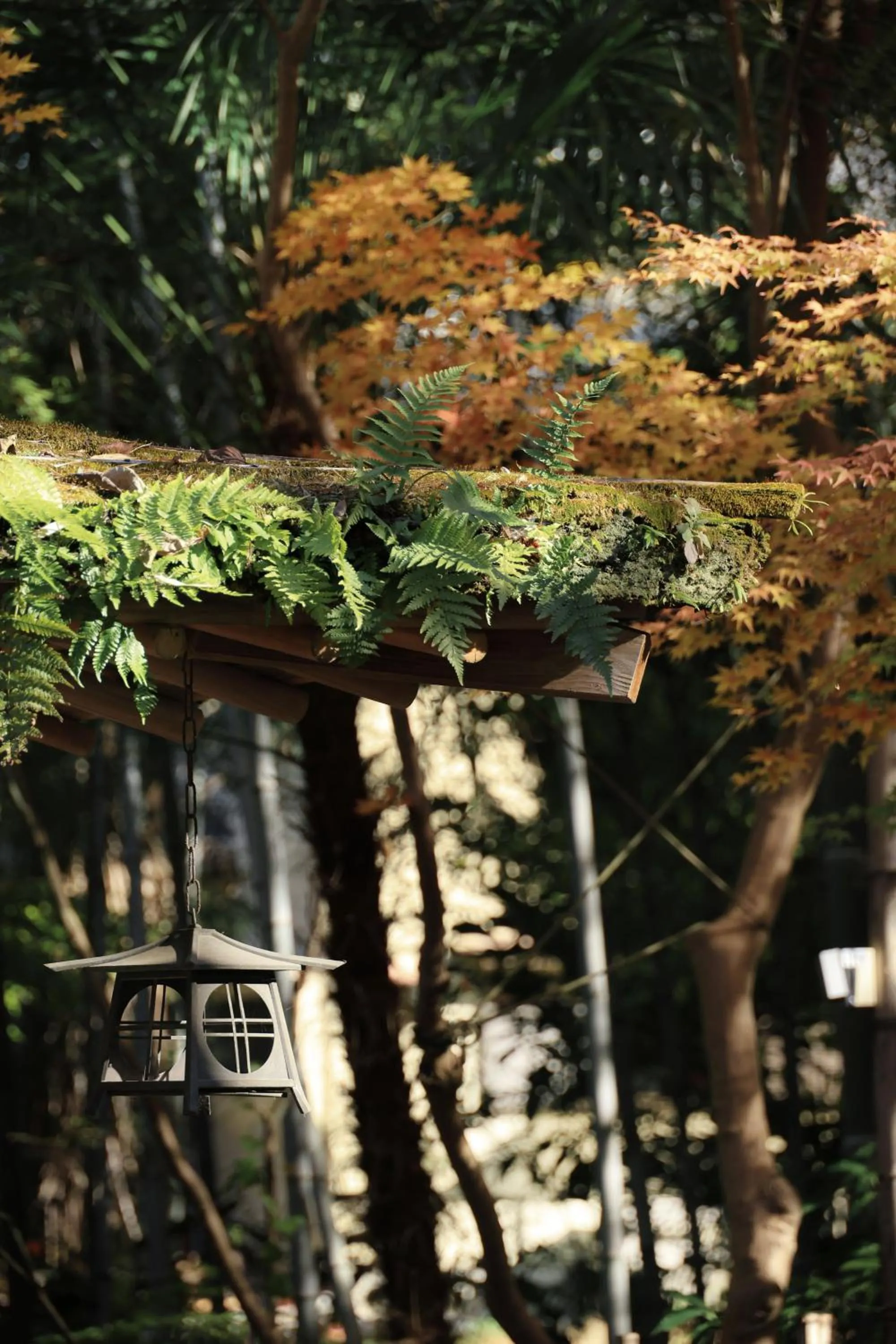 Natural landscape in Oukai Villa Izumi