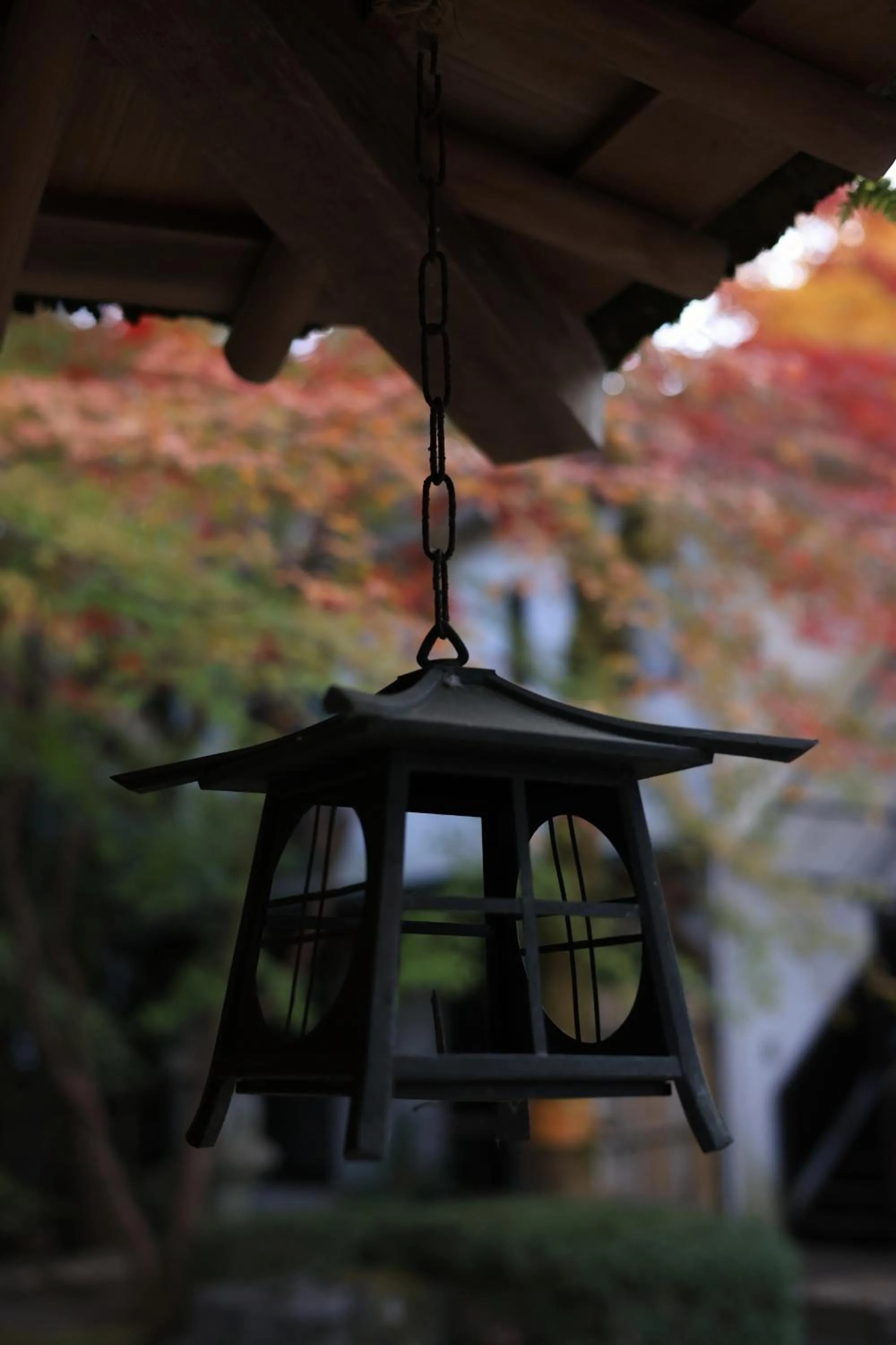 Natural landscape in Oukai Villa Izumi