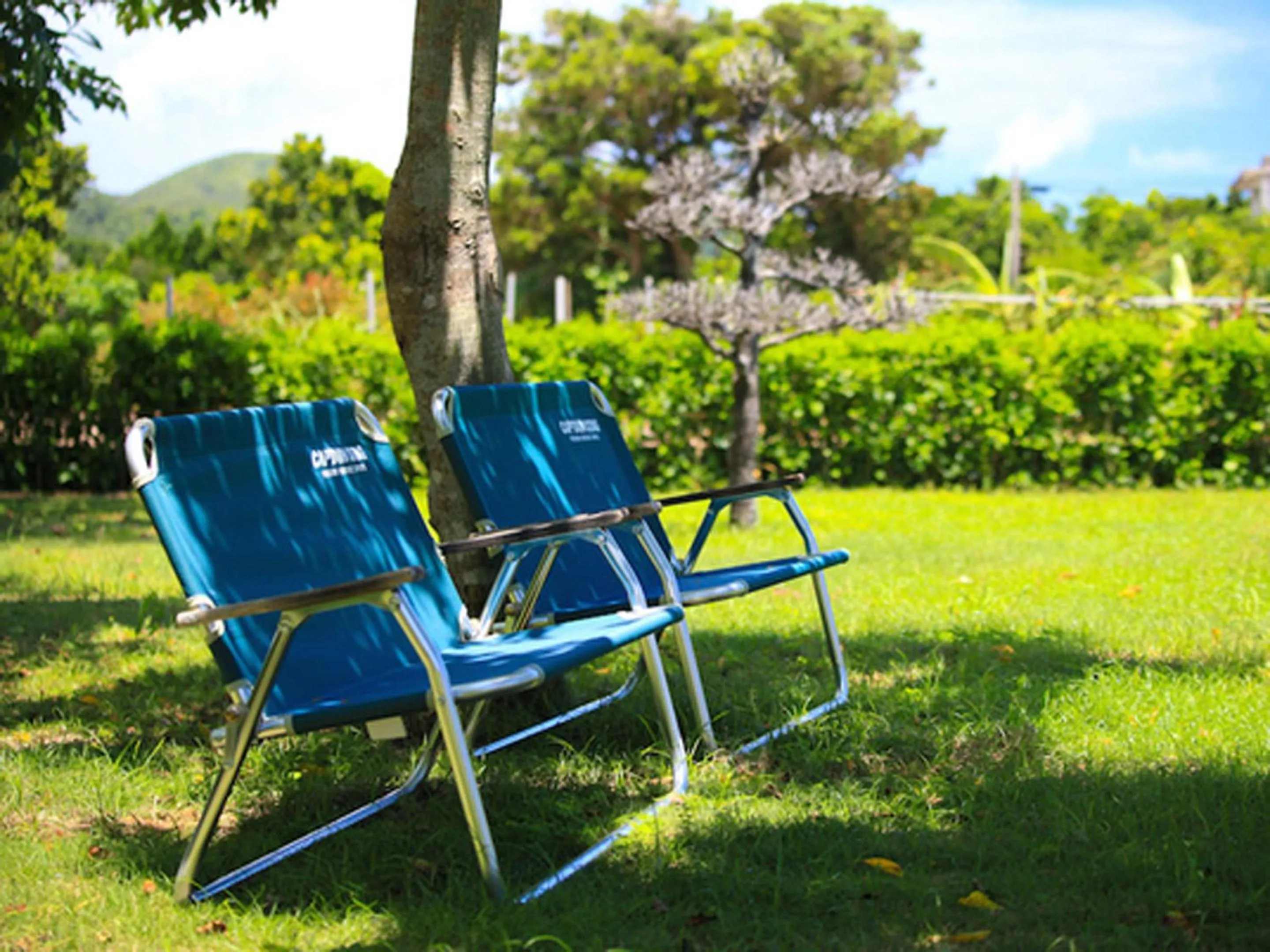 Garden in Sun Green Resort Hotel Ishigaki