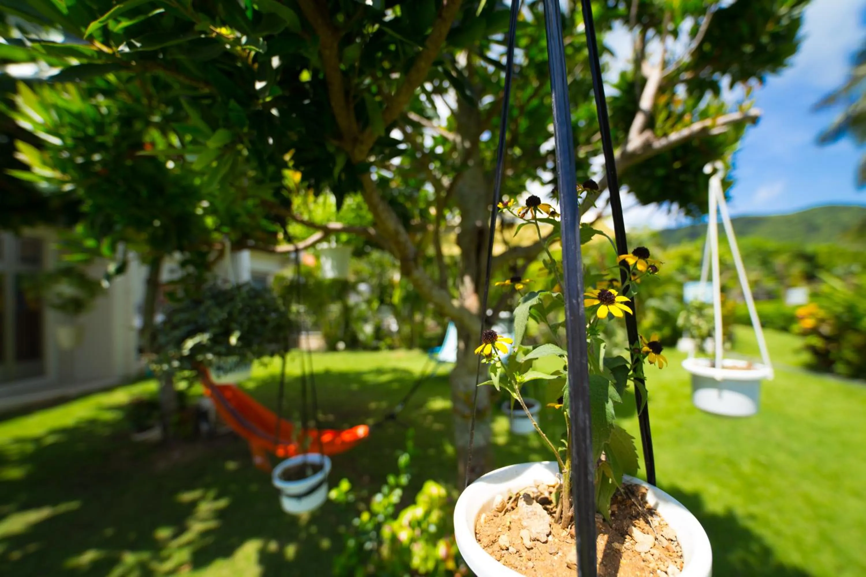 Garden in Sun Green Resort Hotel Ishigaki