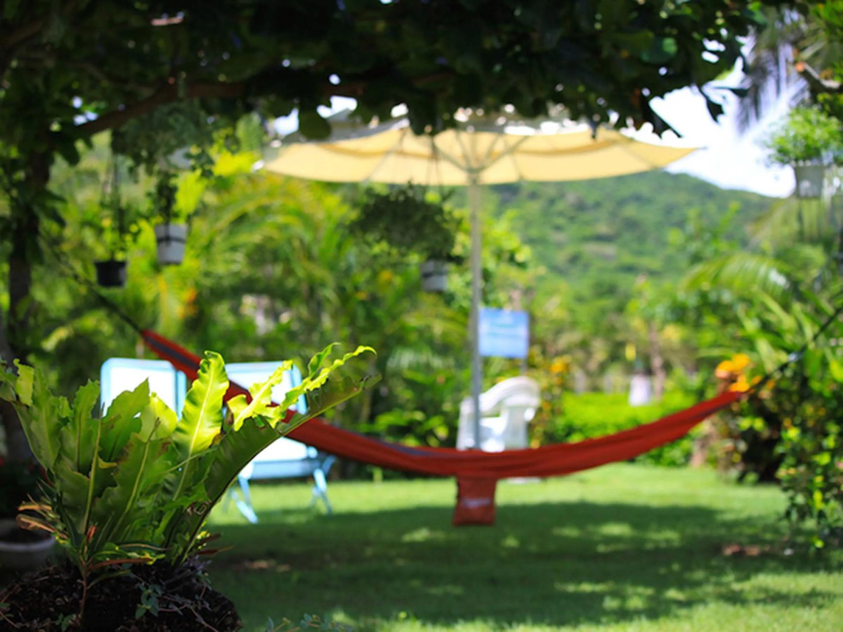Garden in Sun Green Resort Hotel Ishigaki