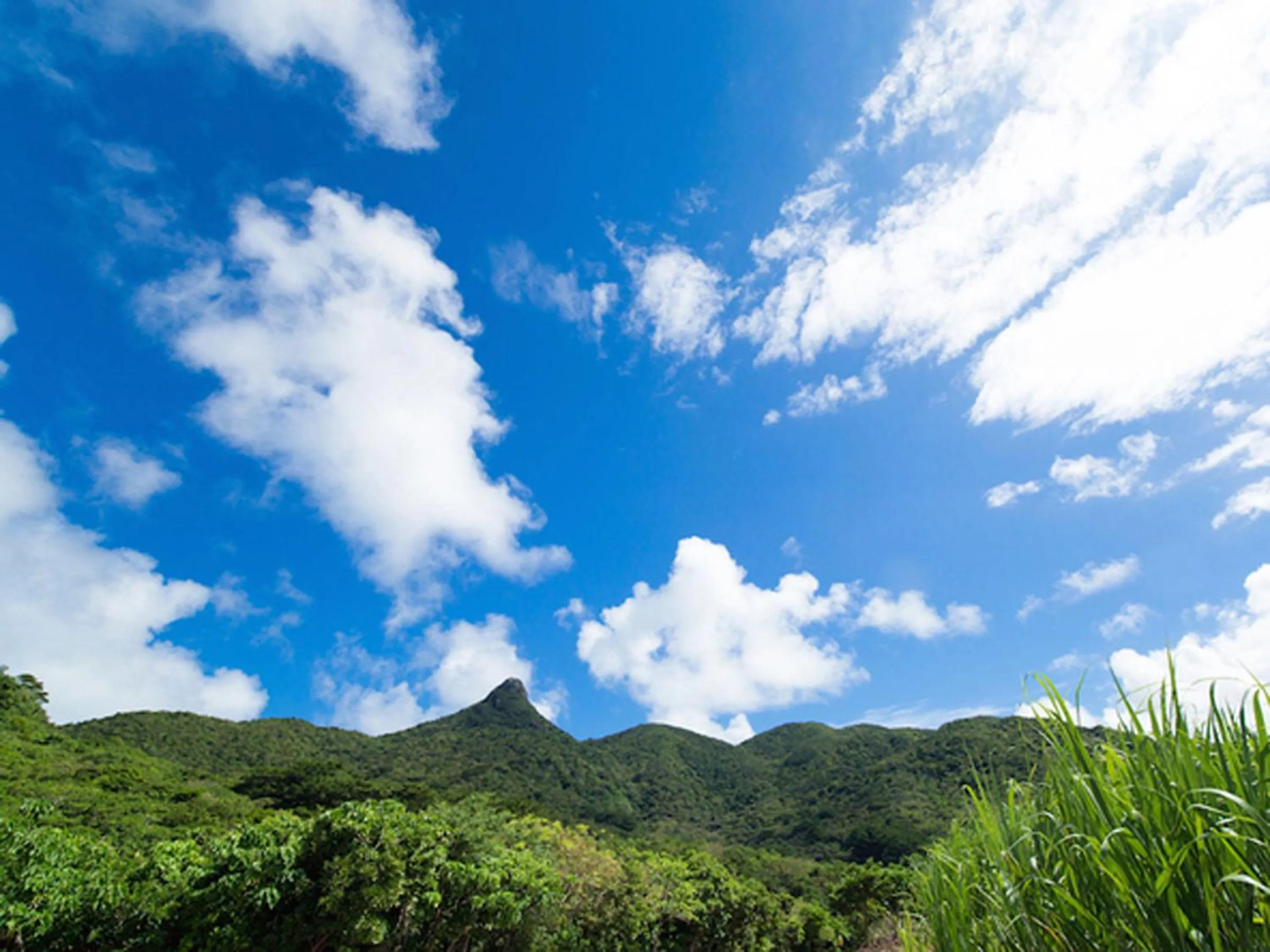 Off site in Sun Green Resort Hotel Ishigaki
