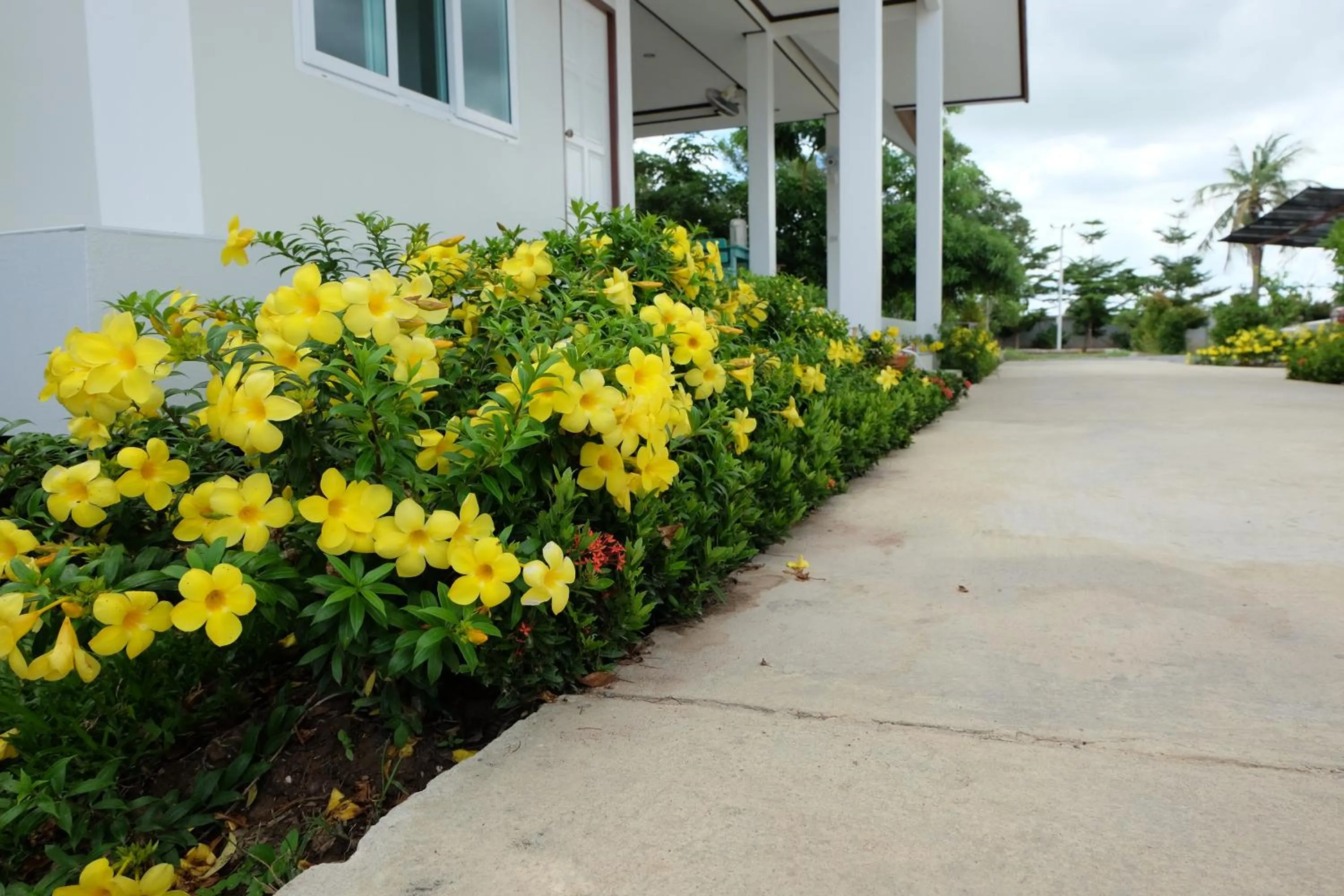 Restaurant/places to eat in Bualuang Boutique Resort