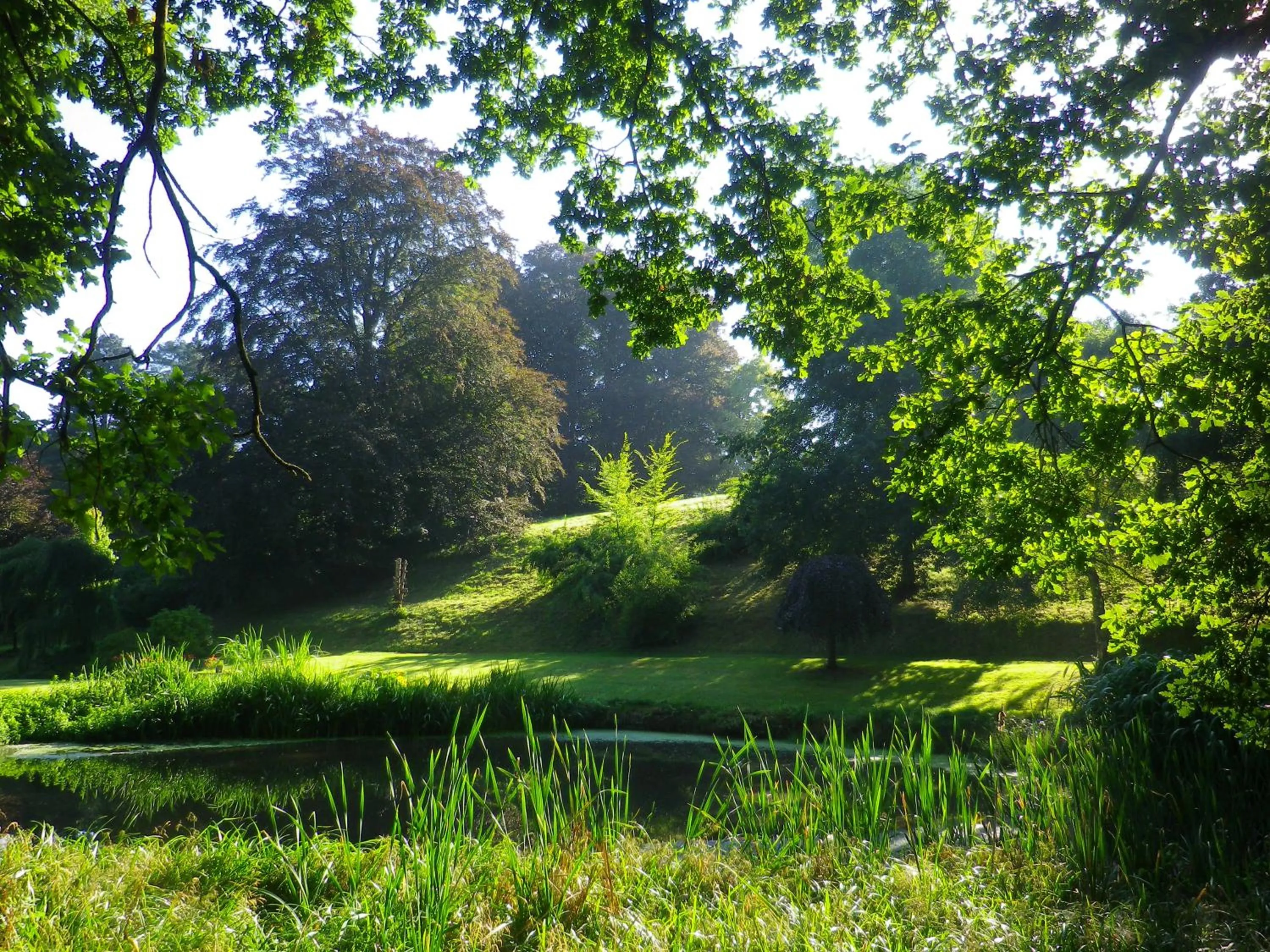Garden view in Château de Bonne Espérance