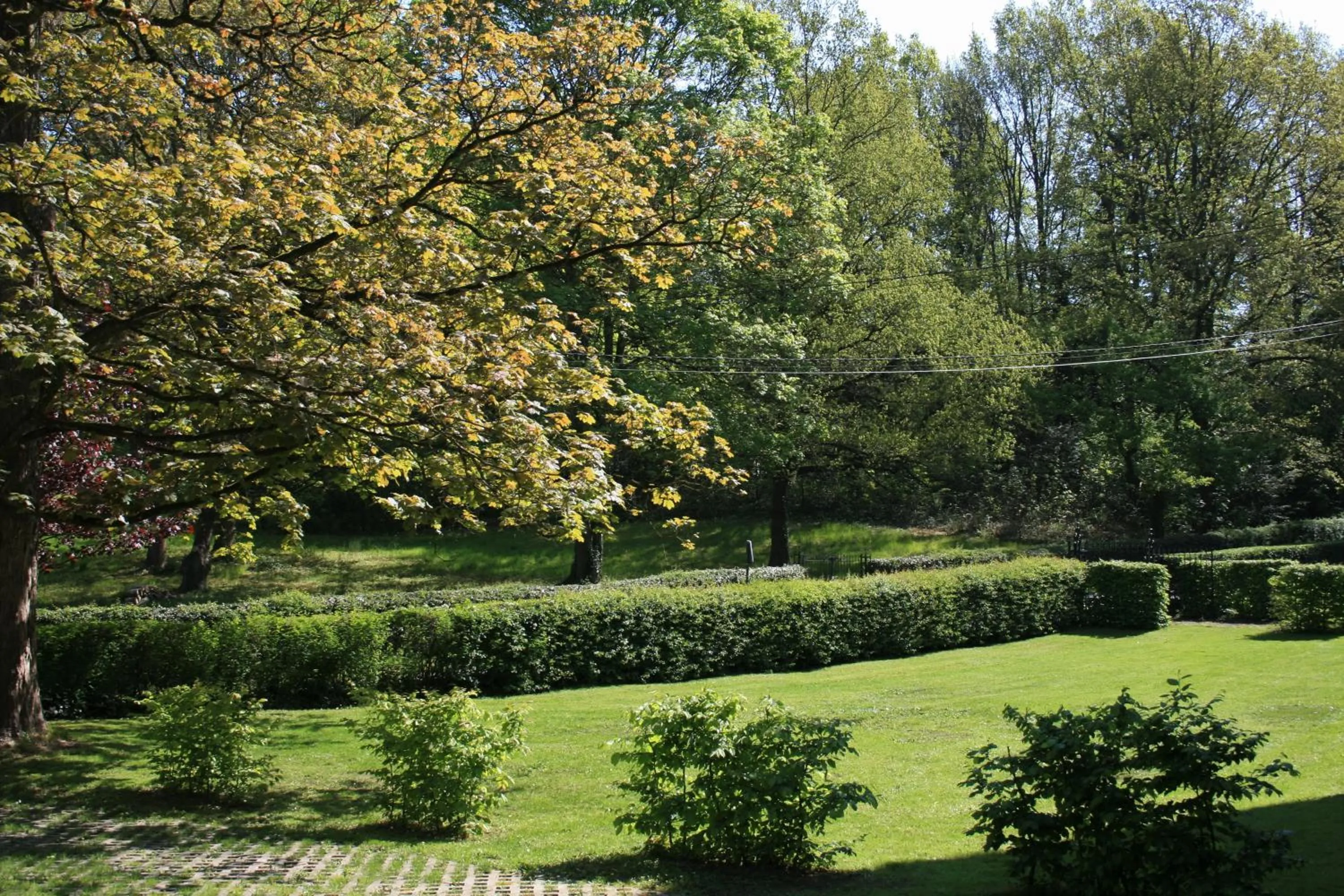 On site in Château de Bonne Espérance