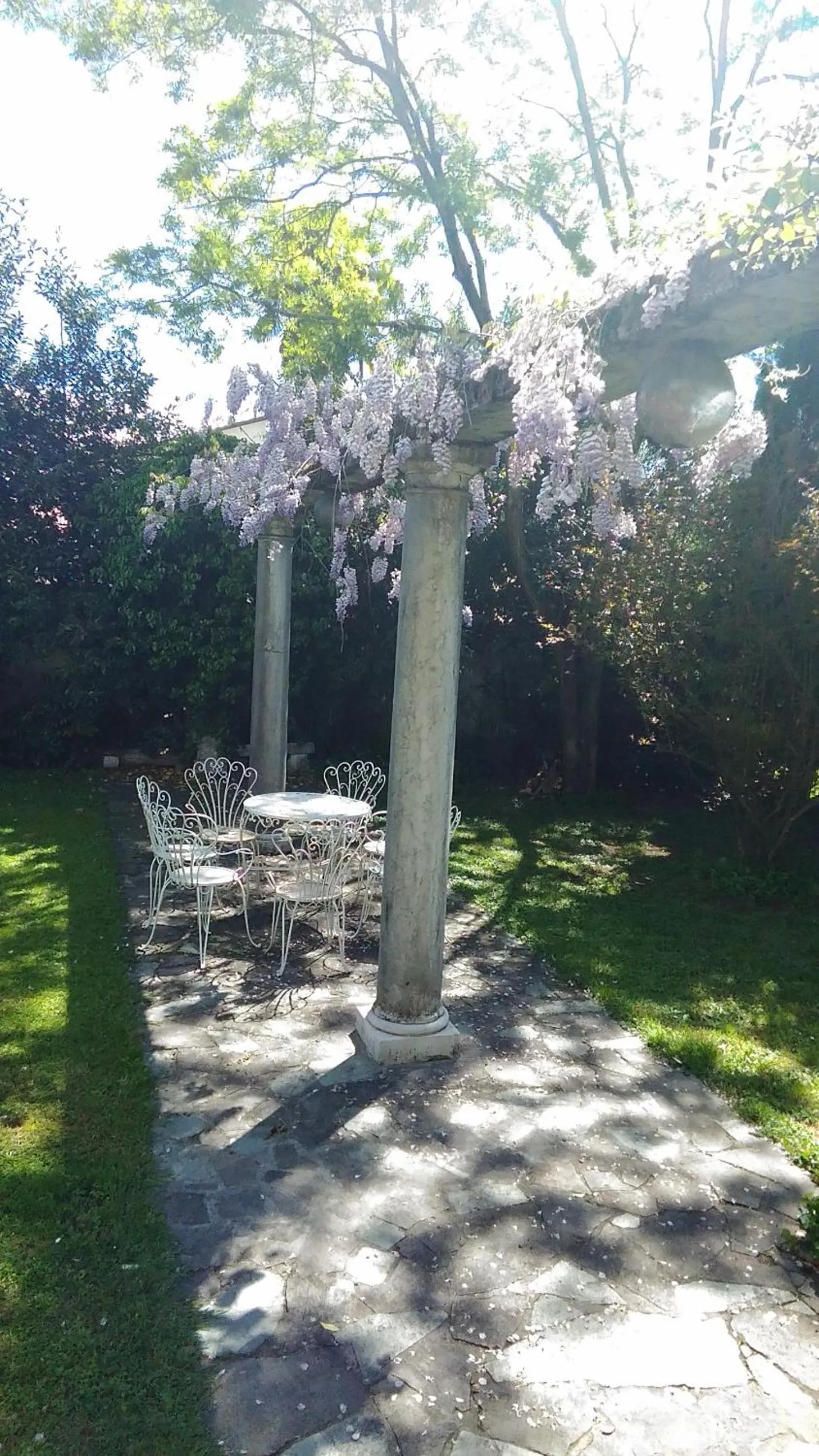 B&B La Villa Mediterranea