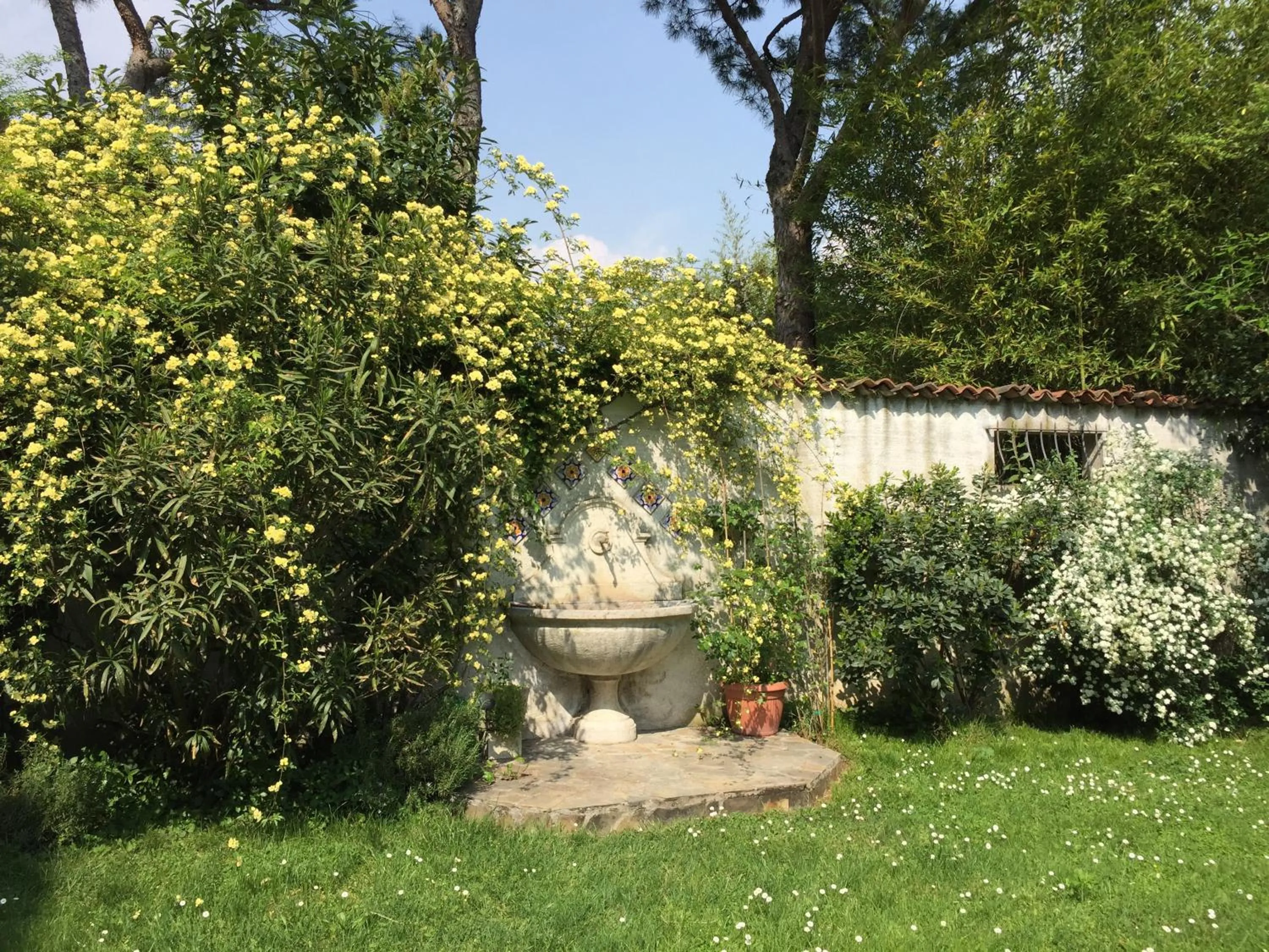 B&B La Villa Mediterranea