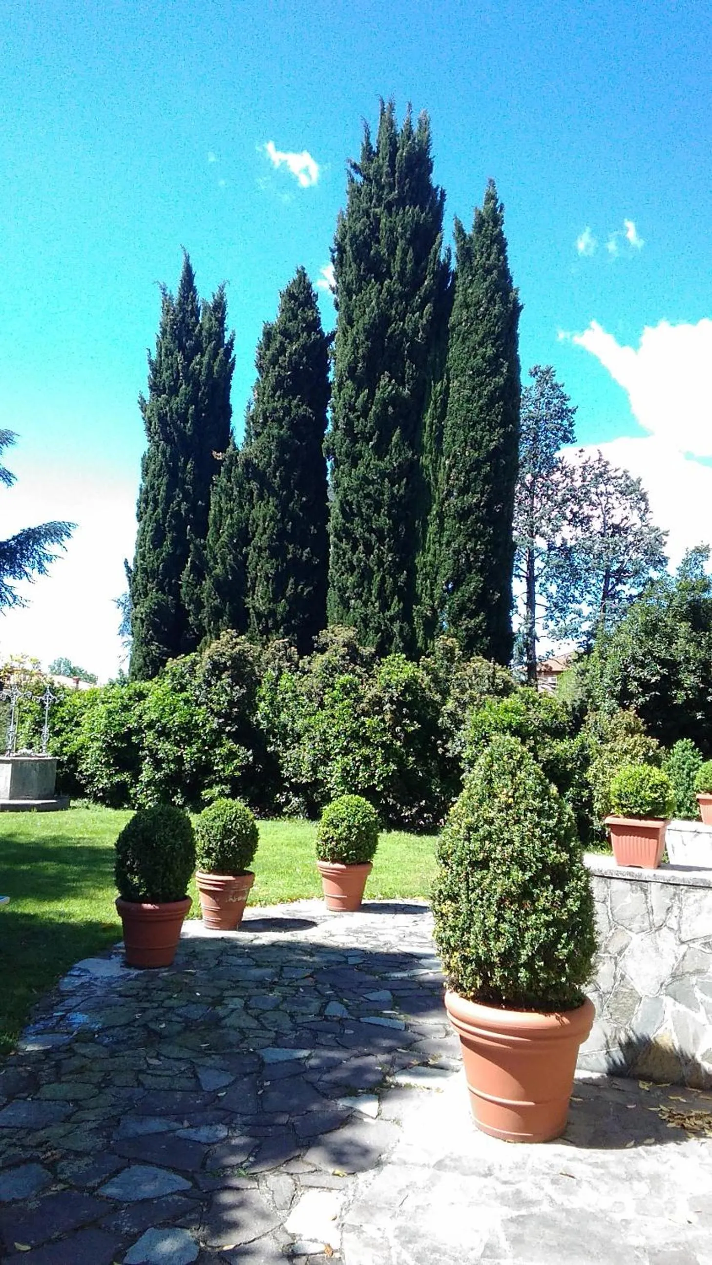 B&B La Villa Mediterranea