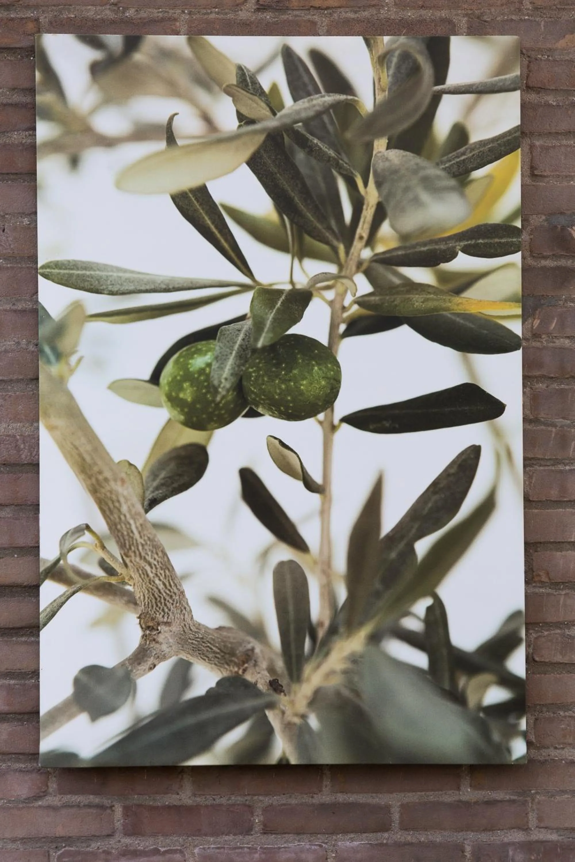 Garden view in Baart's Bed and Breakfast