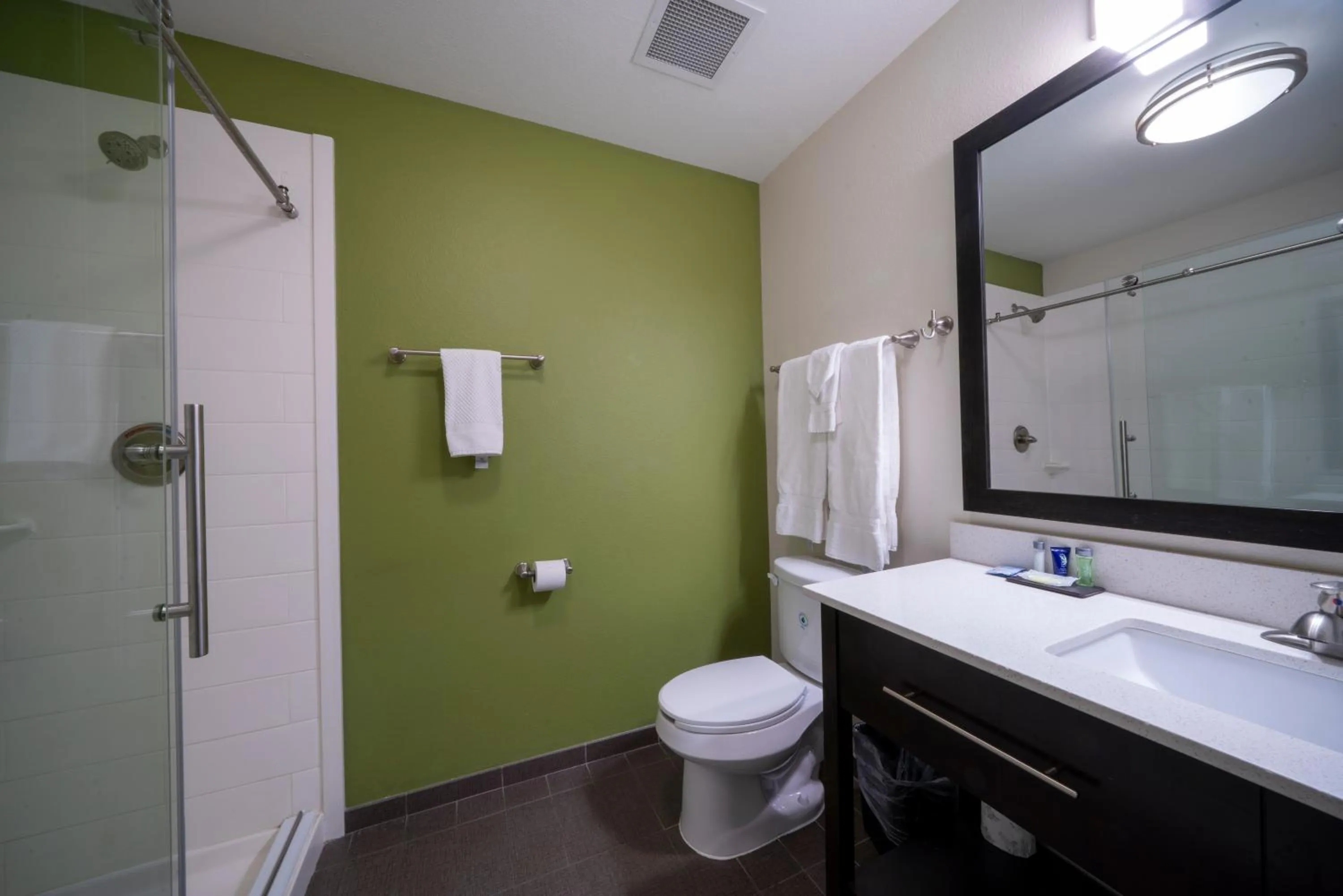 Shower in Sleep Inn Dallas Love Field-Medical District