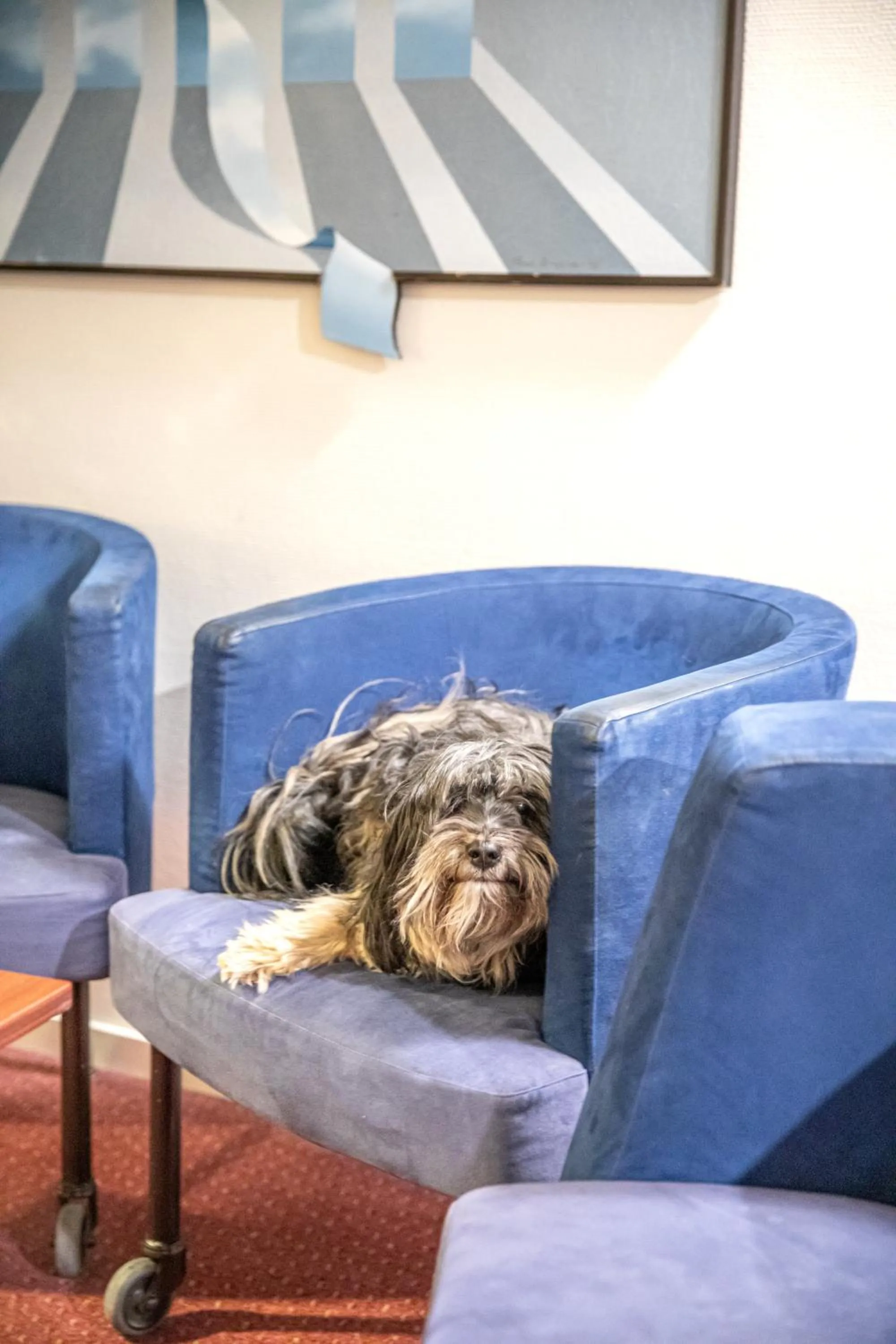 Property building in Hotel Kupolen