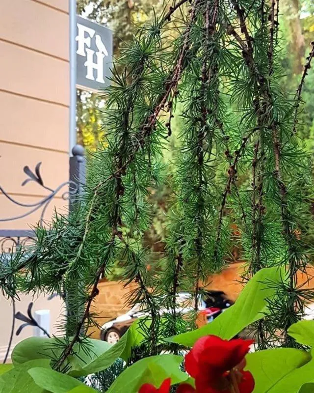 Ferdinandhof Apart-Hotel