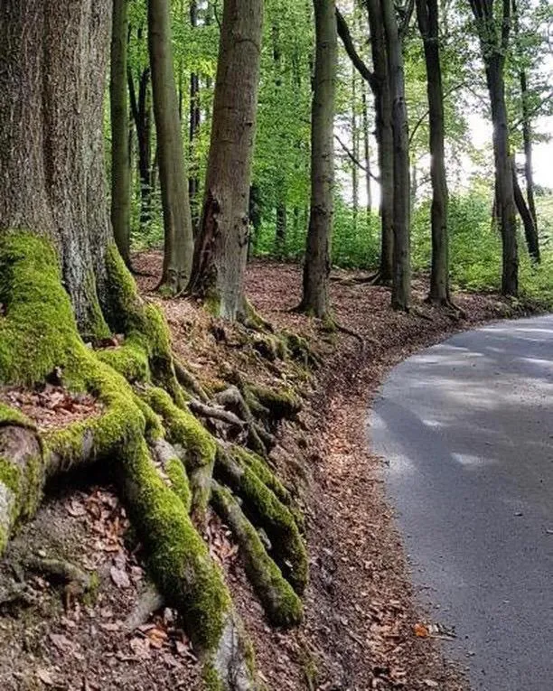 Natural landscape in Ferdinandhof Apart-Hotel