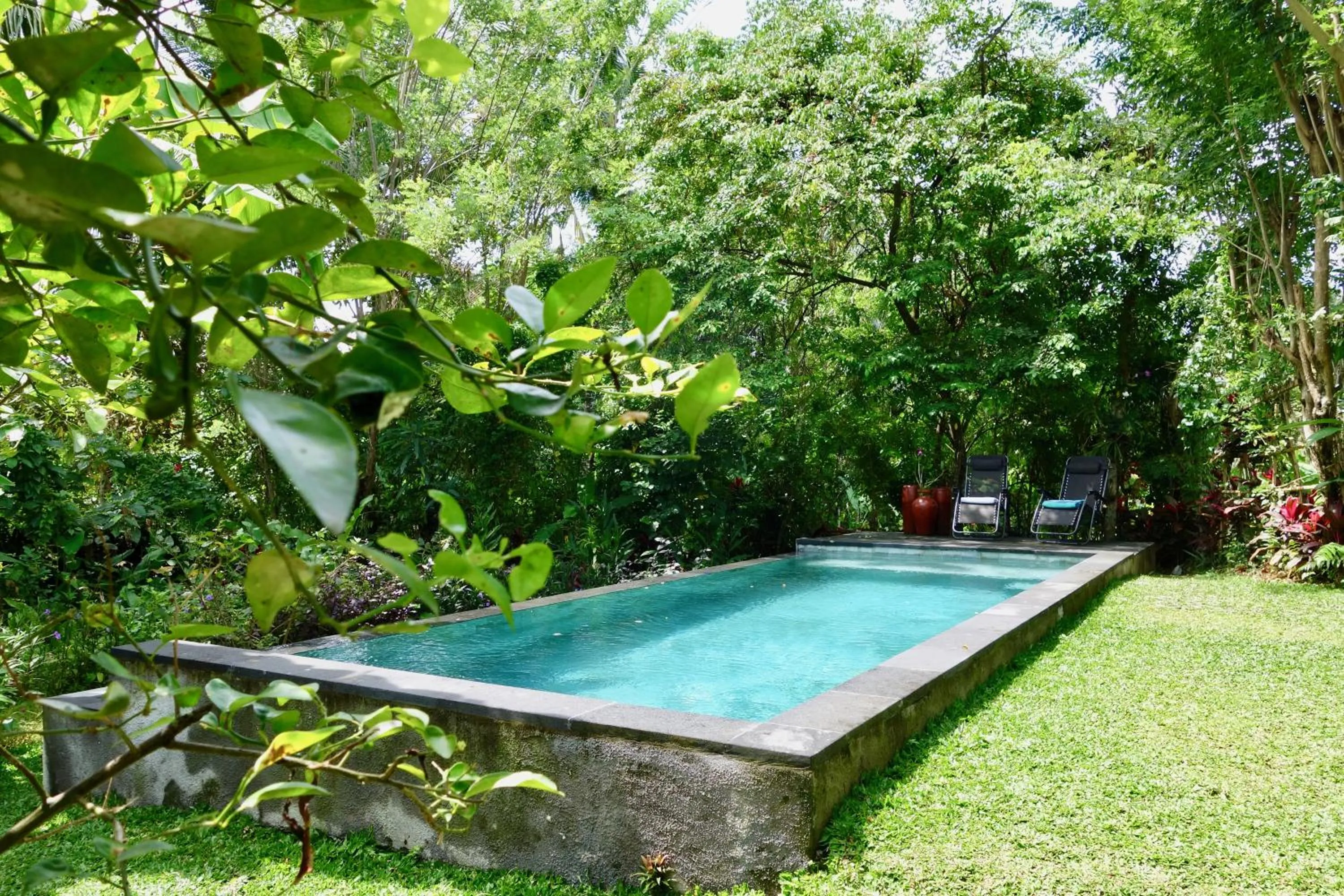 Pool view in Bali Firefly BnB