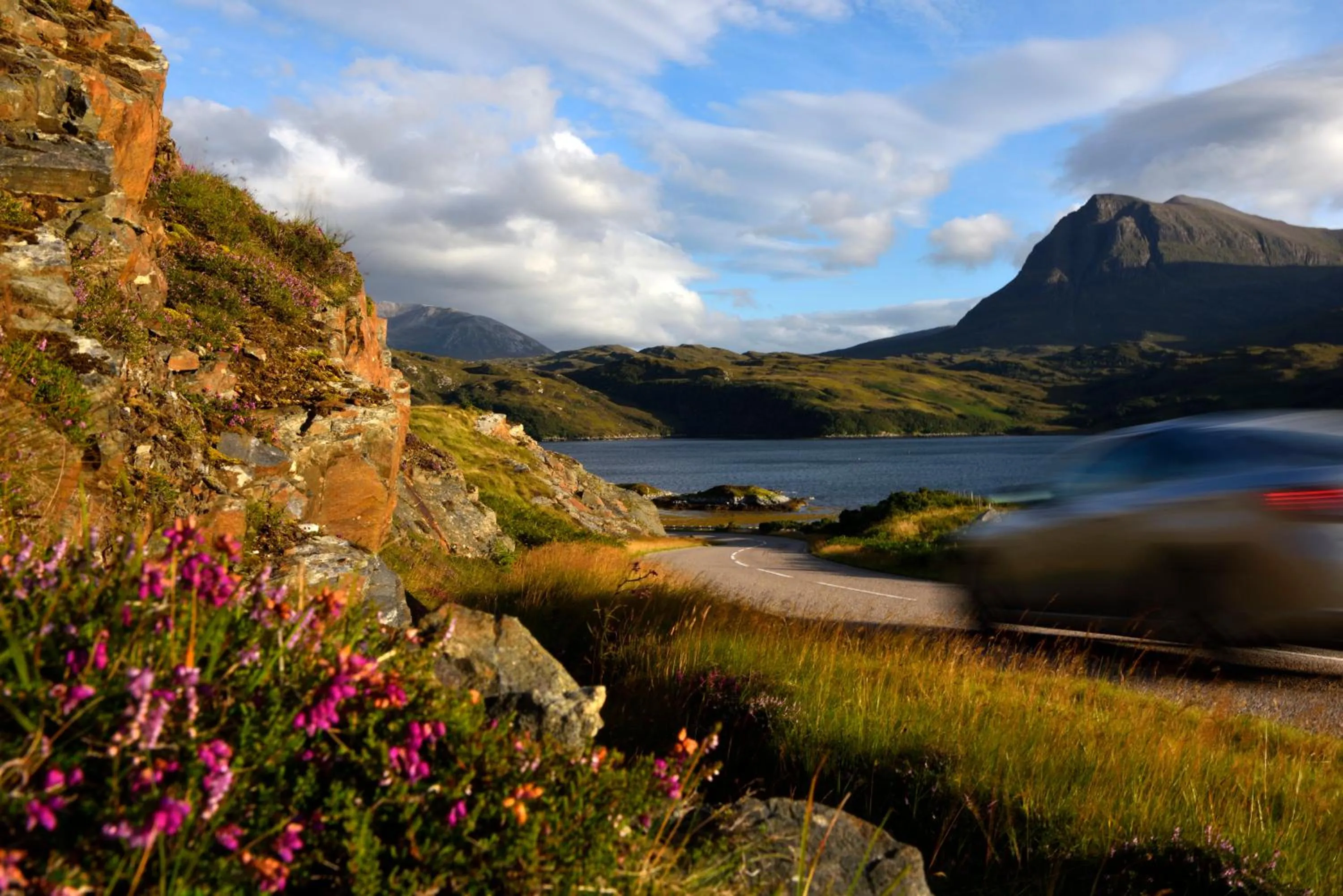 Bedroom in Albatross B&B Dornoch
