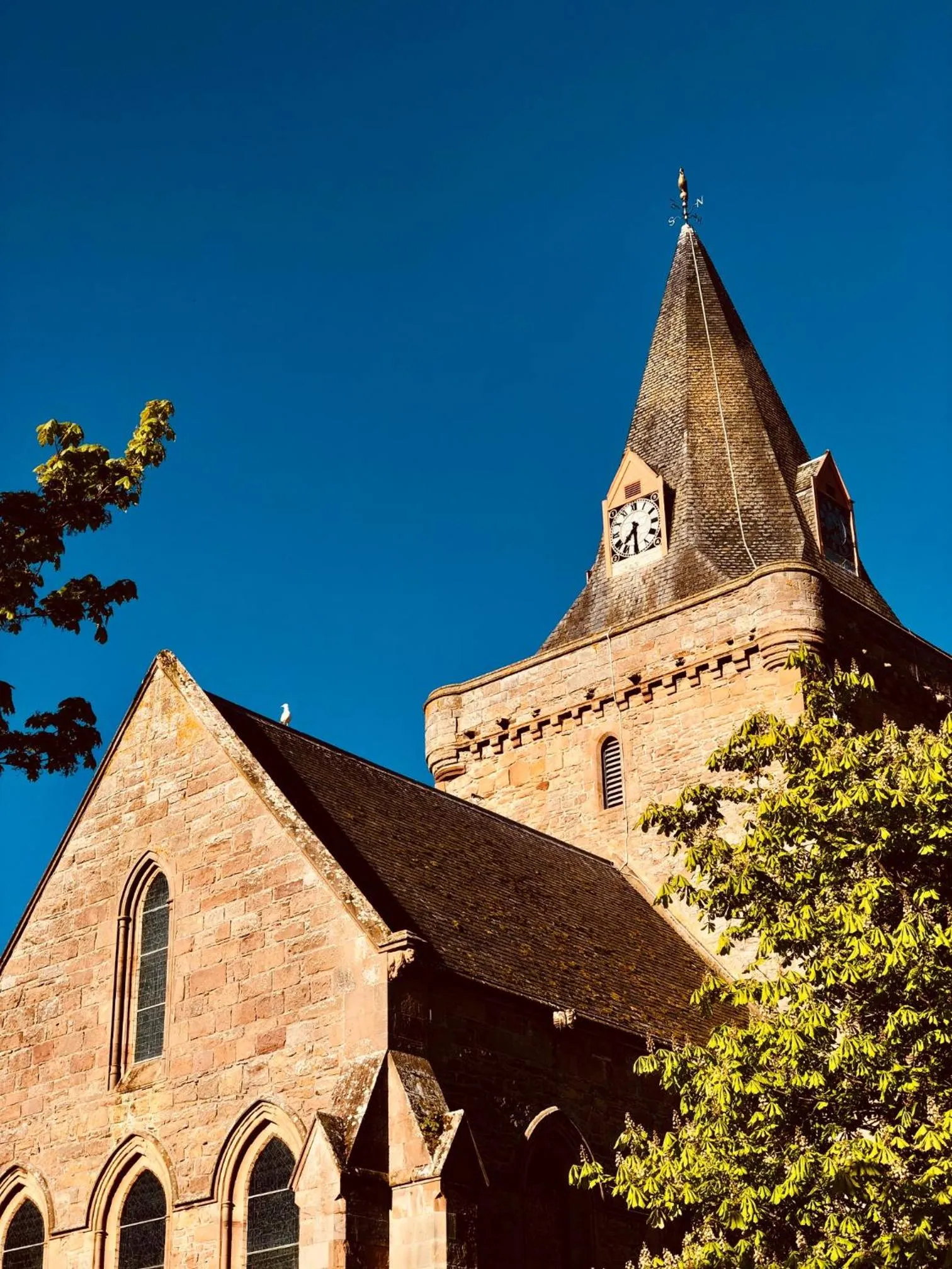 Neighbourhood in Albatross B&B Dornoch