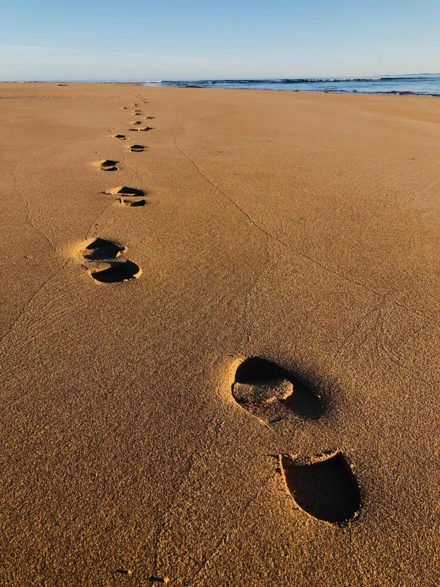 Beach in Albatross B&B Dornoch