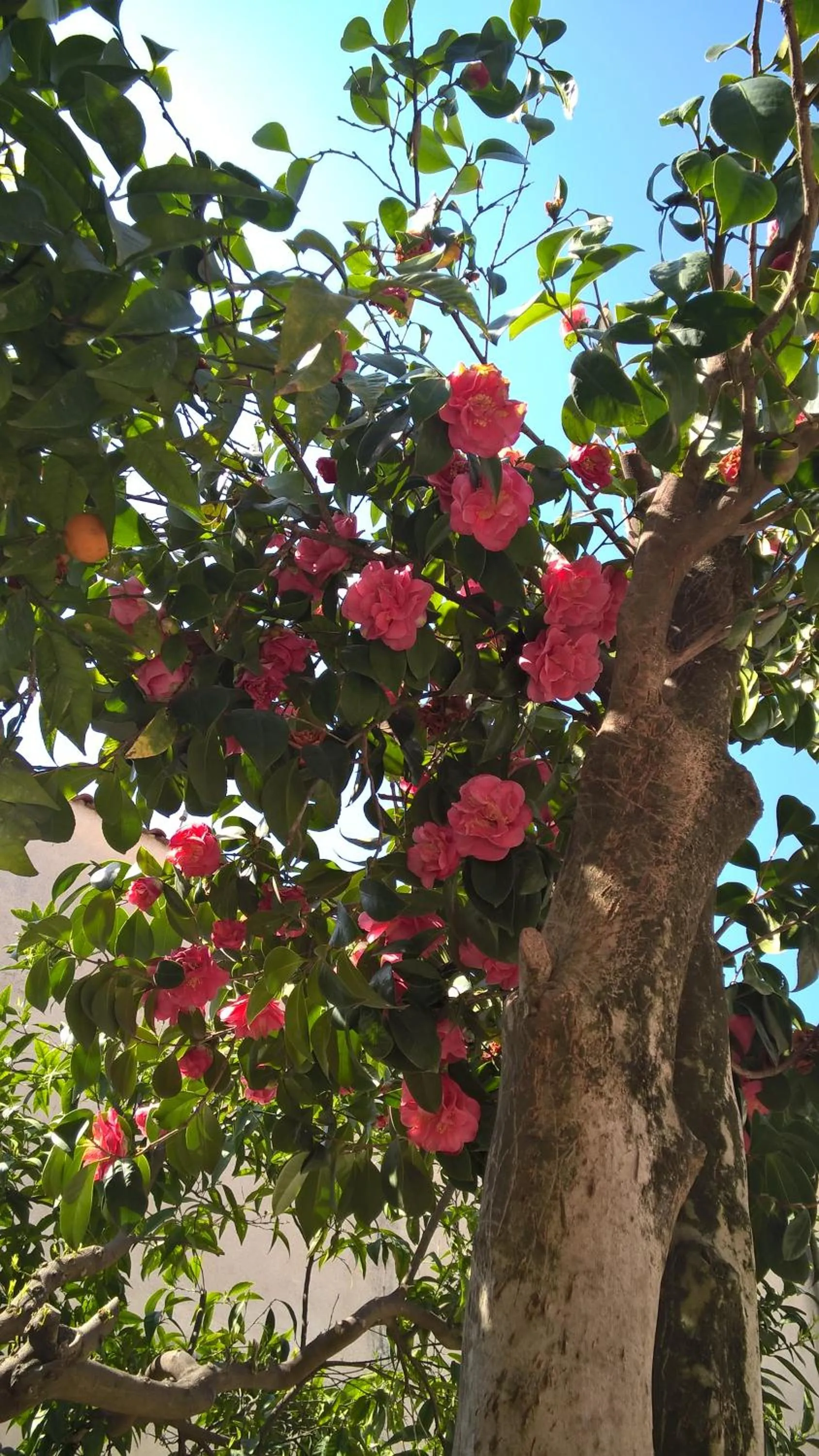 Property building in B&B OTIUM