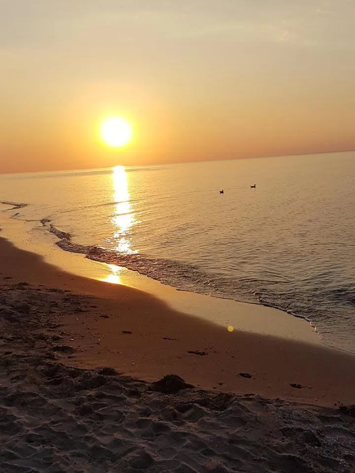Beach in Affittacamere Murgenere