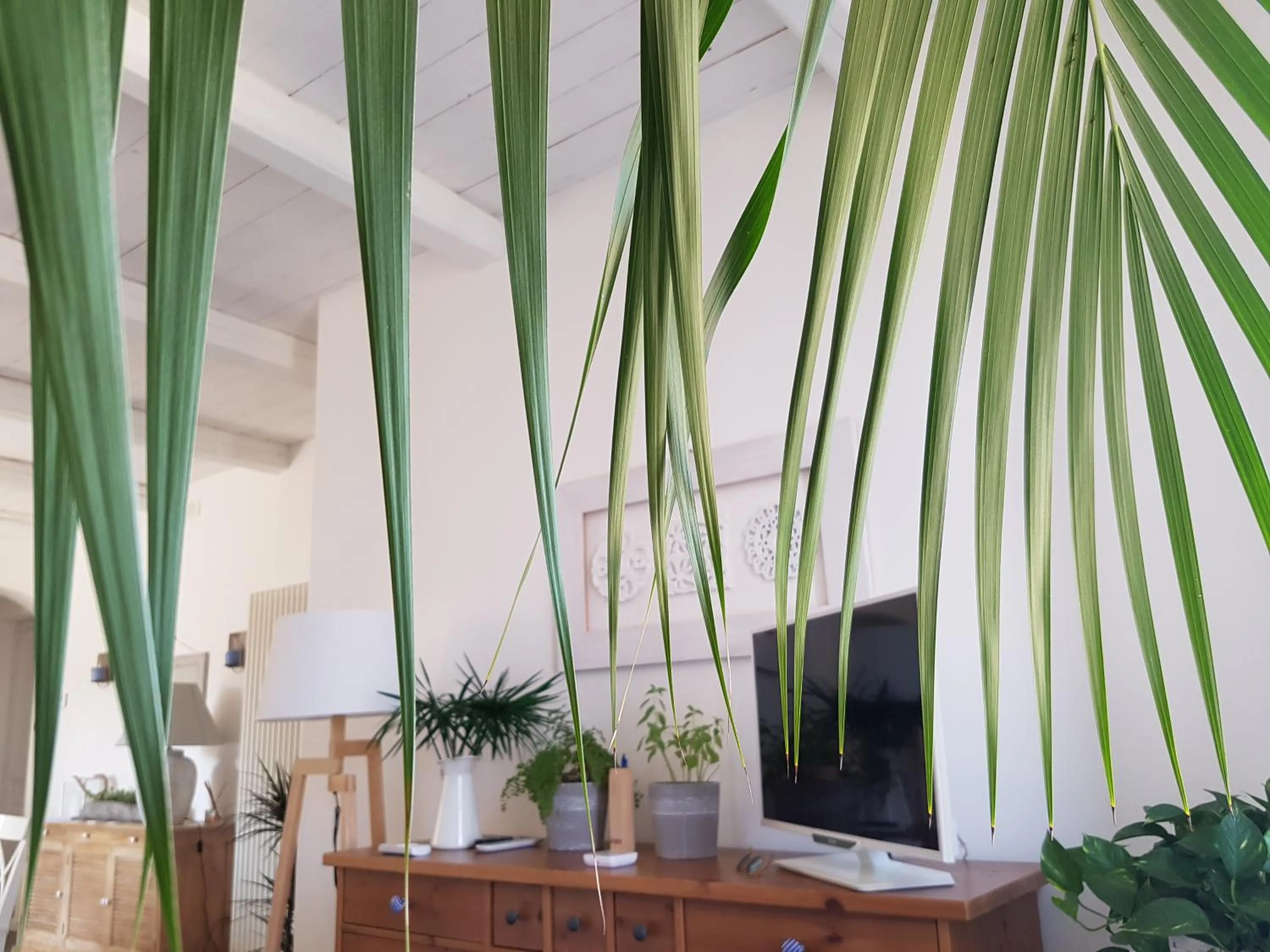 Communal lounge/ TV room in Azzurro B&B