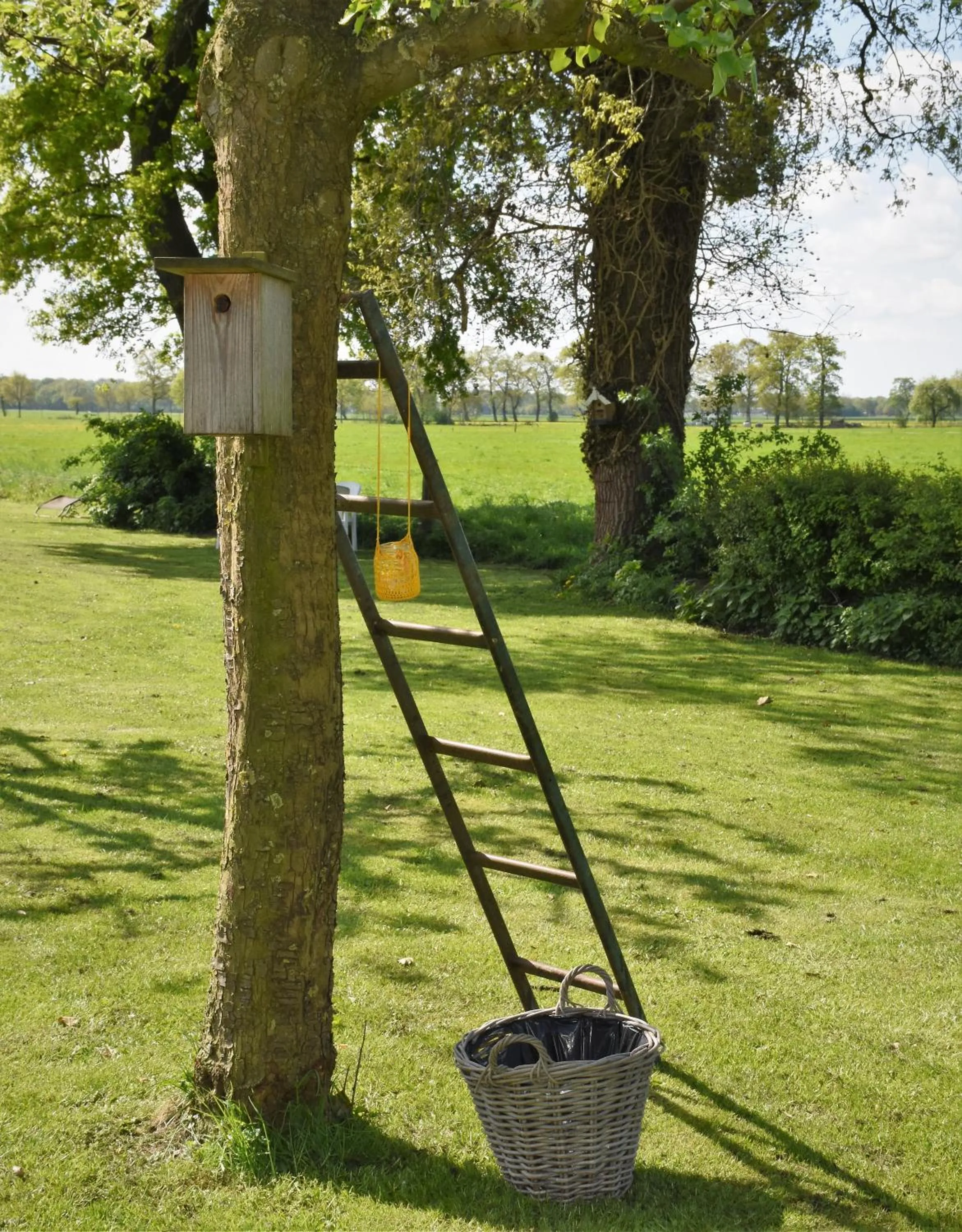 Garden in De Beddestee