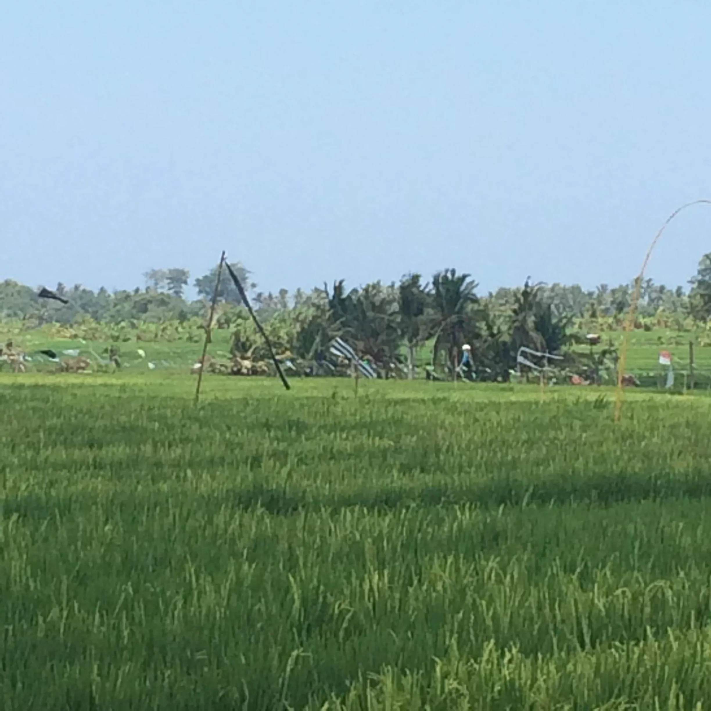 Landmark view in Bali Full Moon Guest House