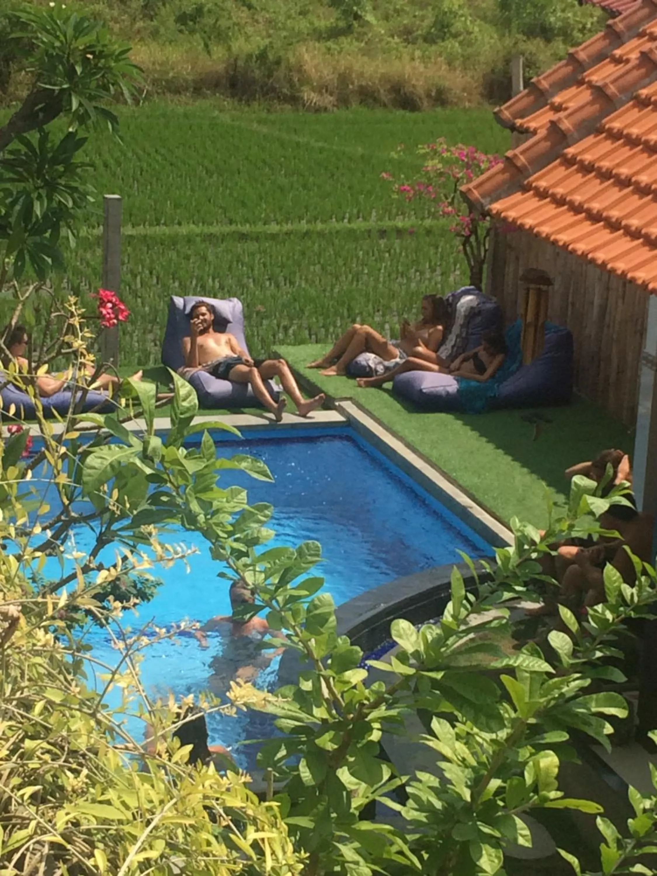 Pool view in Bali Full Moon Guest House