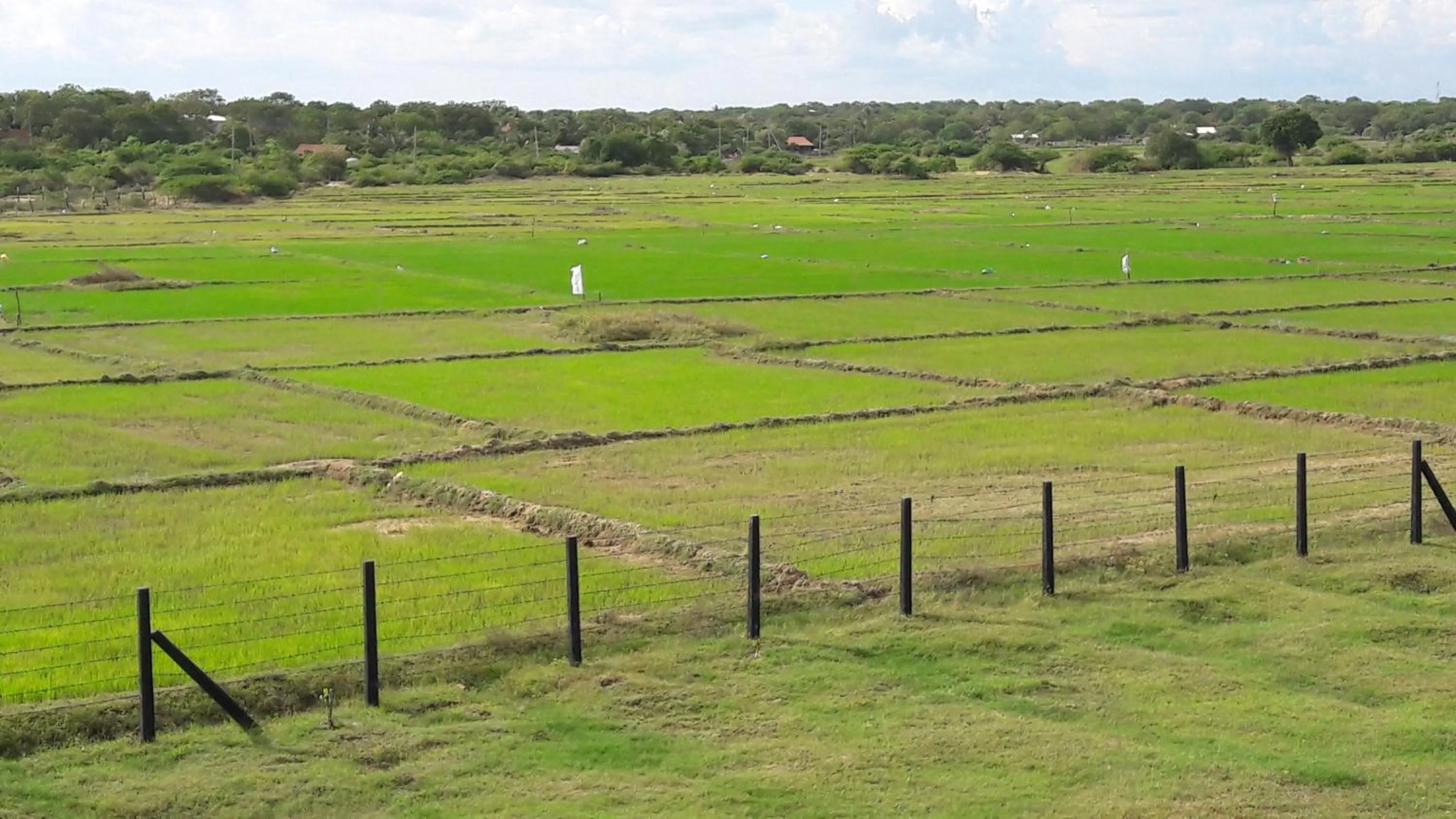 Natural landscape in Tree Tops Yala