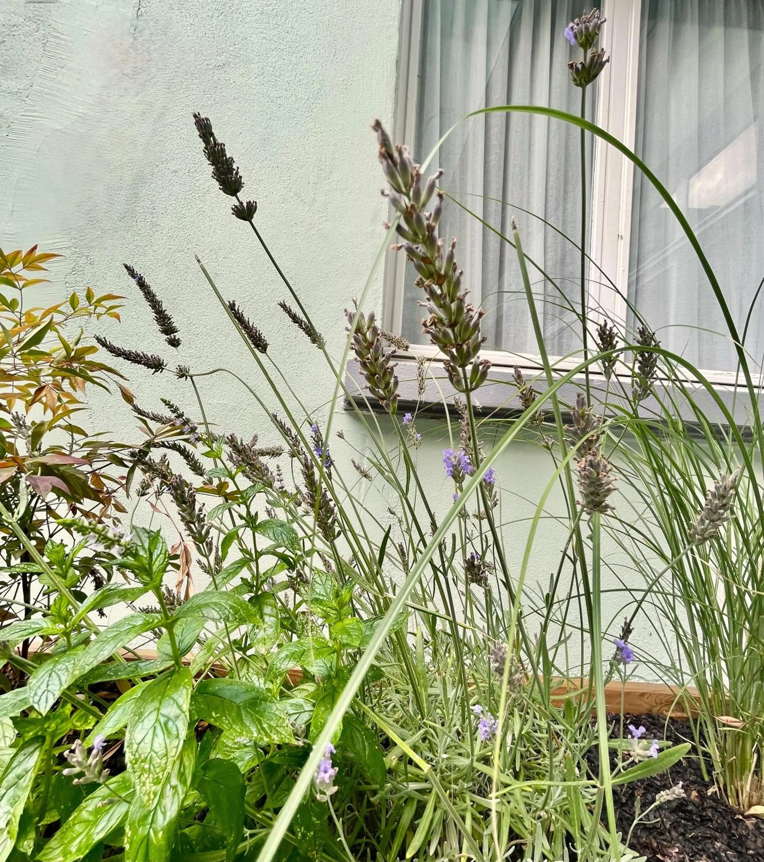 Patio in Hôtel Villa Berlioz