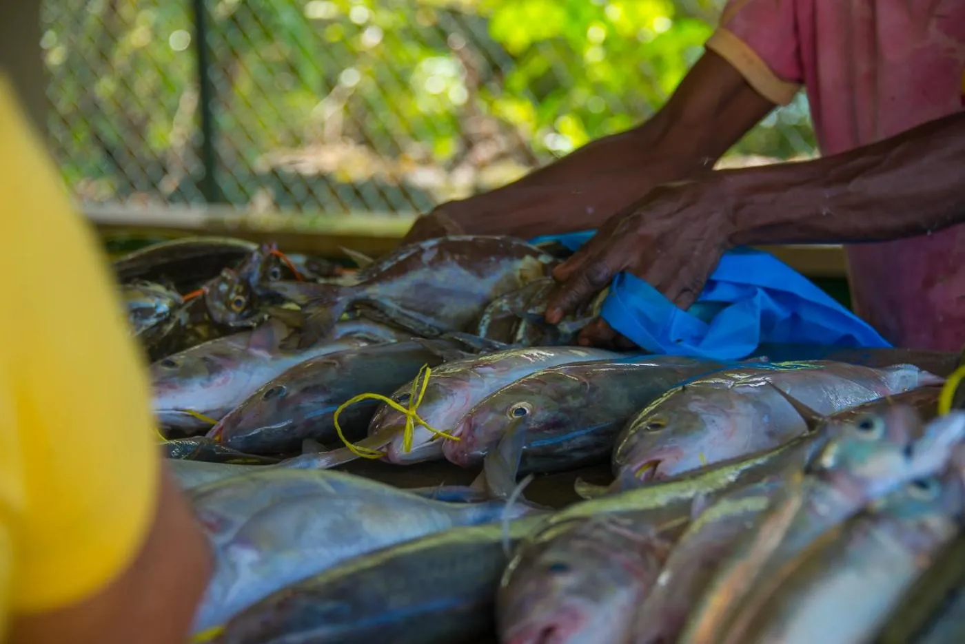 Off site in Le Nautique Beachfront Apartments