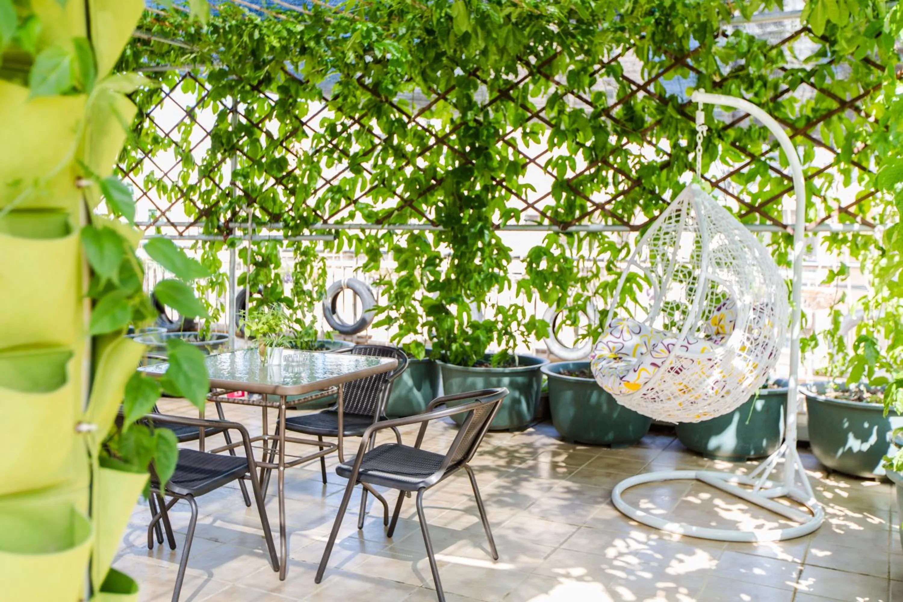 Garden in Sanya Passion fruit Inn