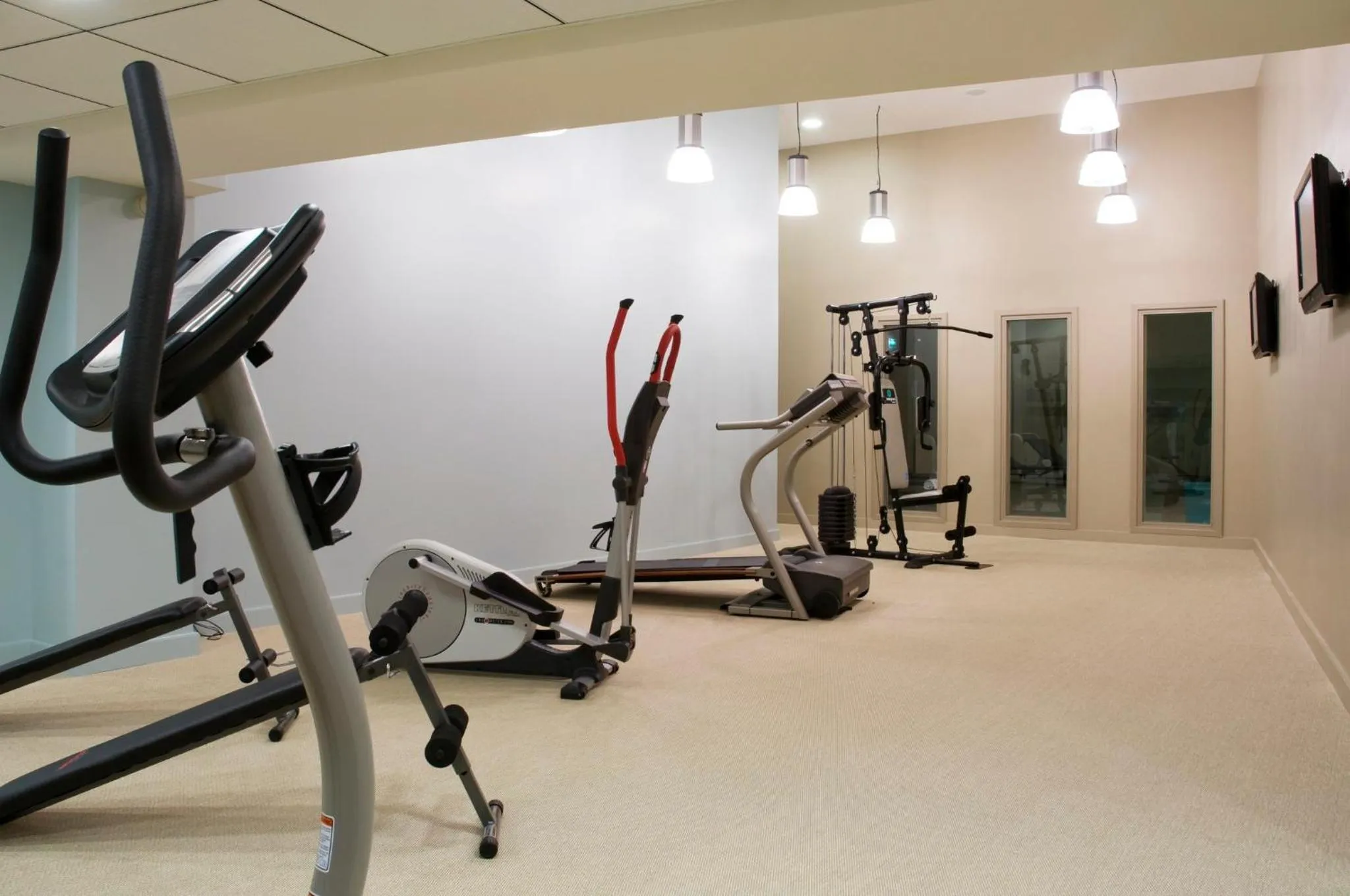 Fitness centre/facilities in Holiday Inn Mulhouse by IHG