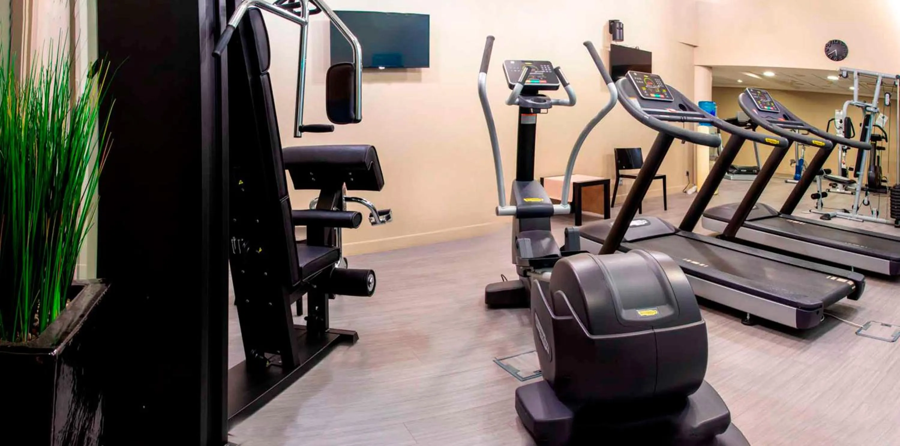 Fitness centre/facilities in Holiday Inn Mulhouse by IHG