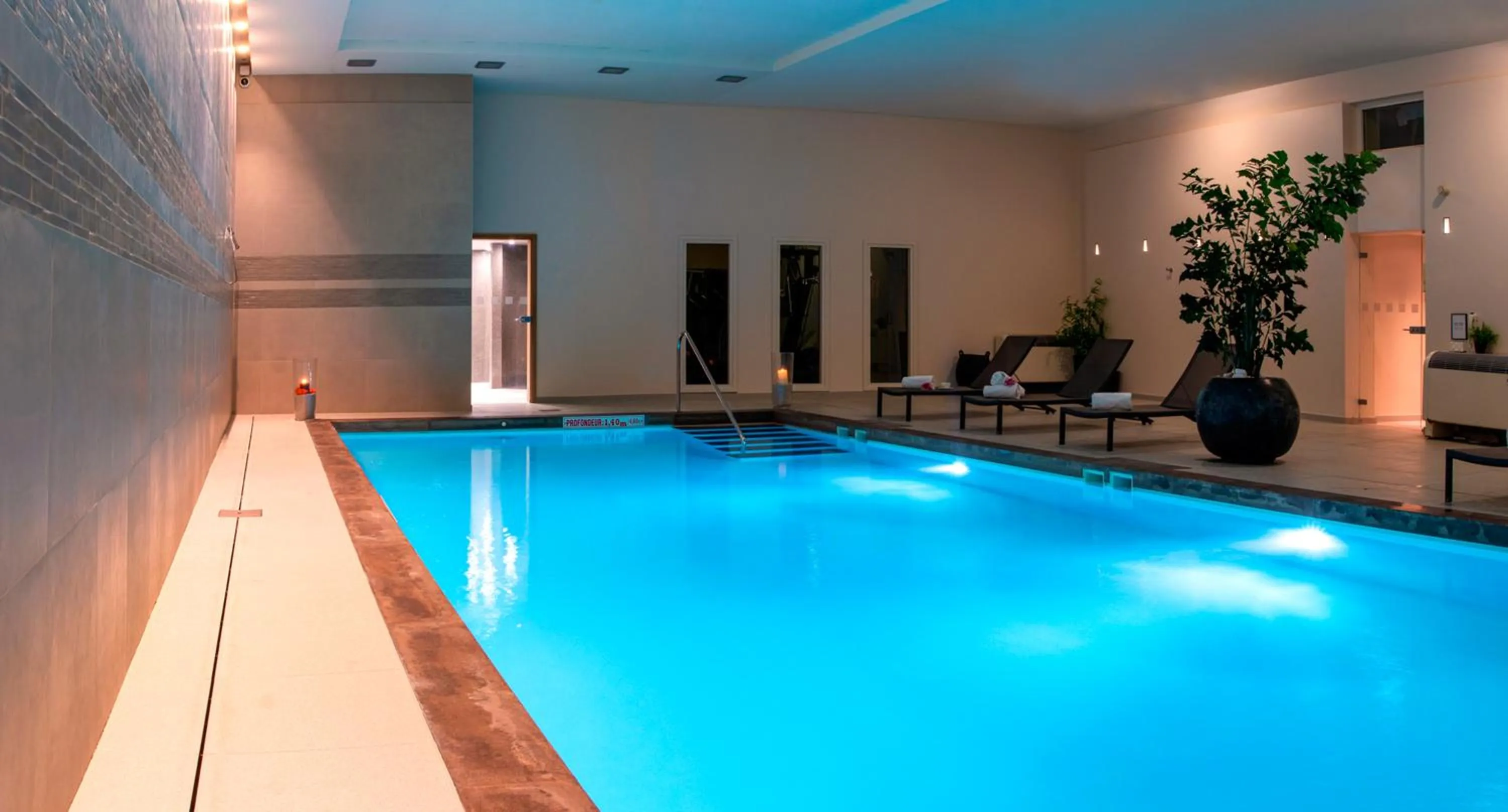 Swimming pool in Holiday Inn Mulhouse by IHG